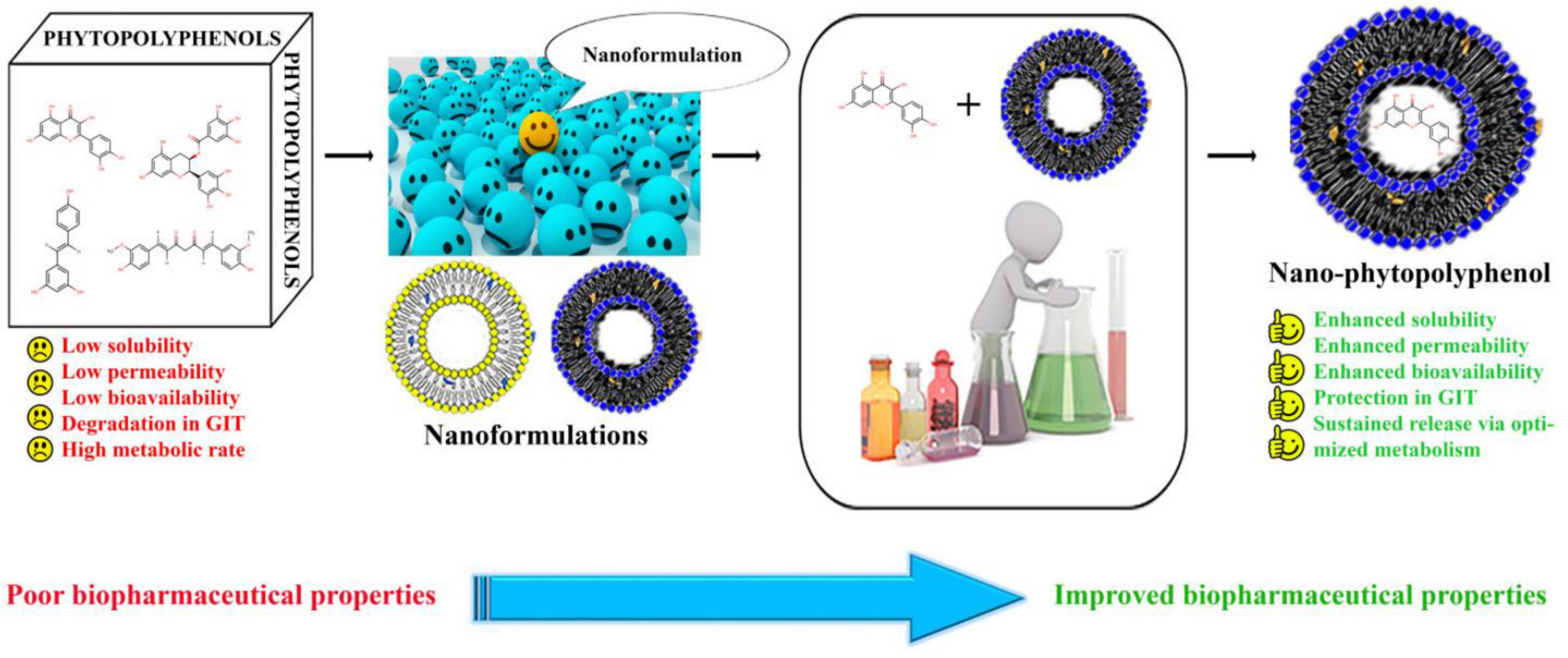 Molecules 27 08706 g003