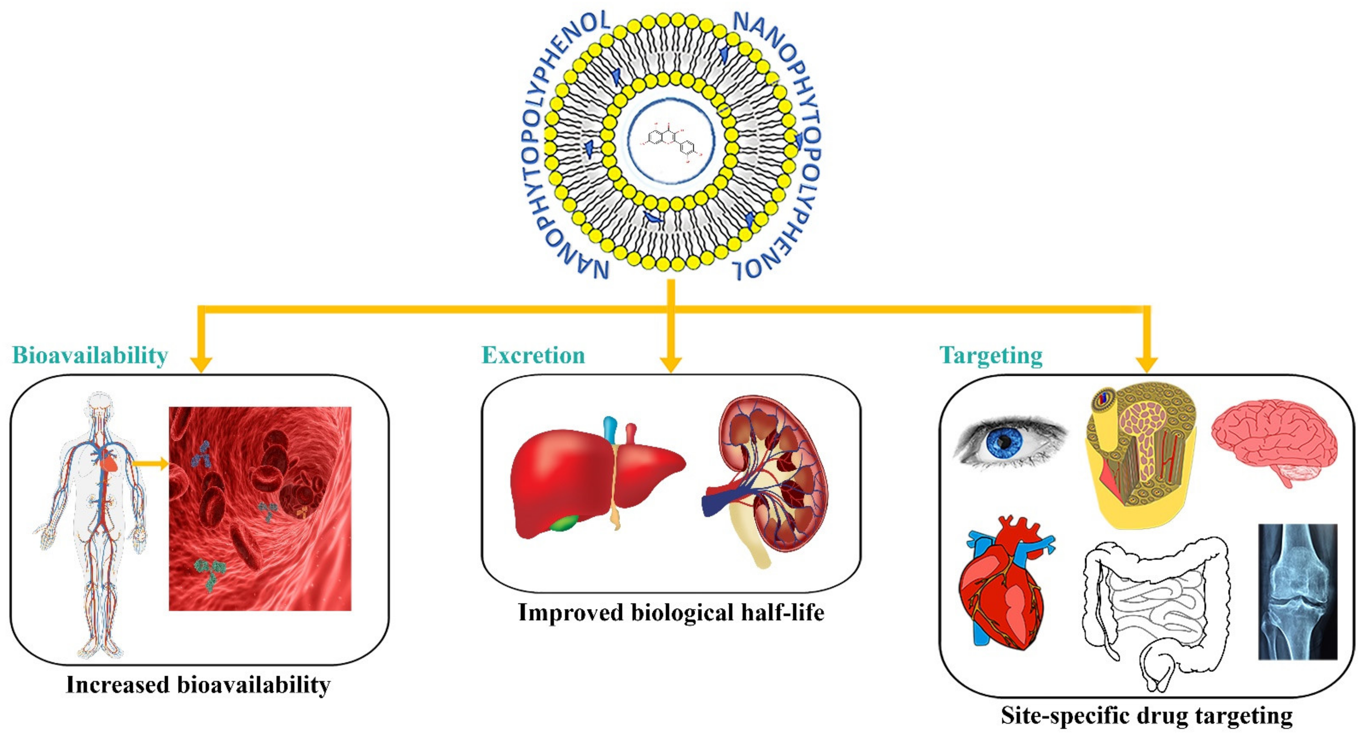 Molecules 27 08706 g004