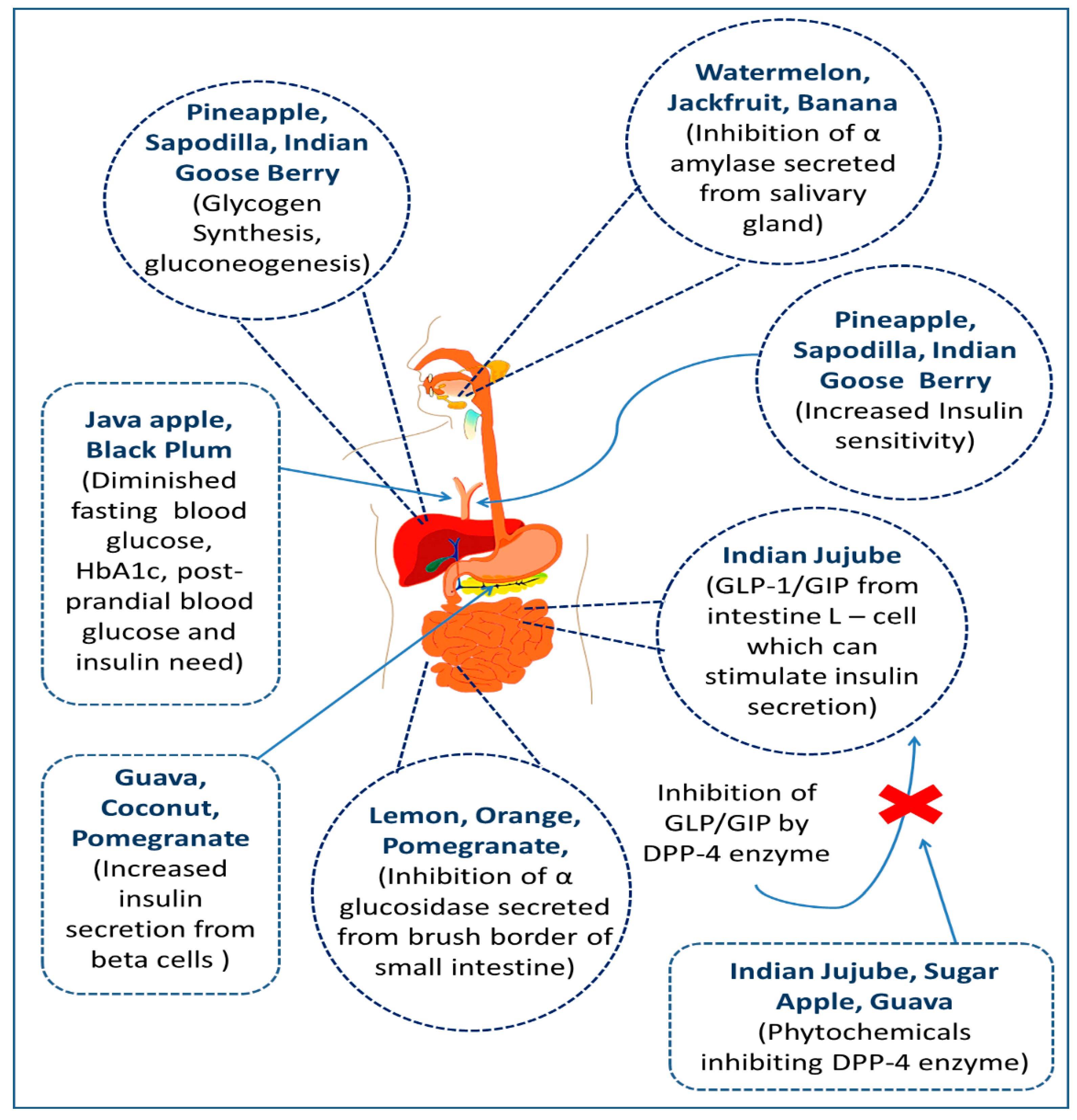 Molecules 27 08709 g001