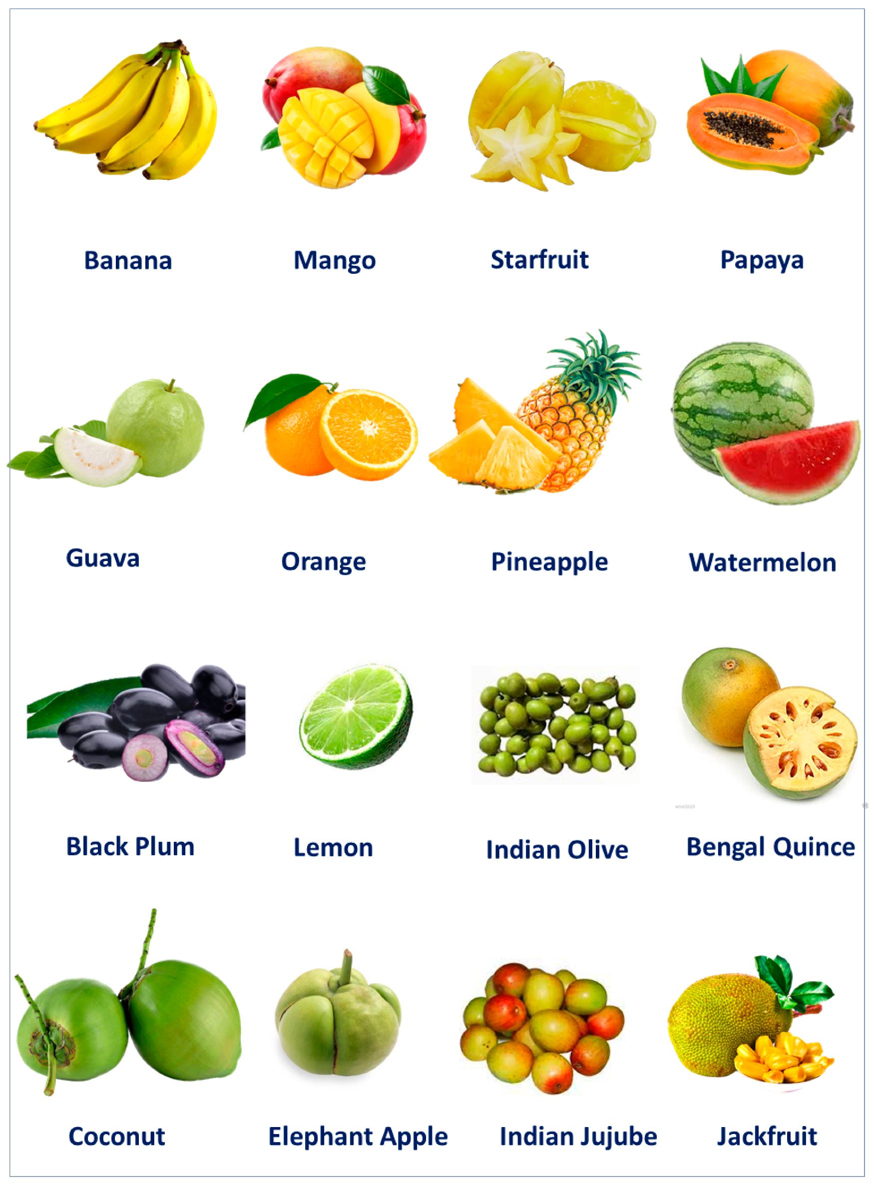 Molecules 27 08709 g003