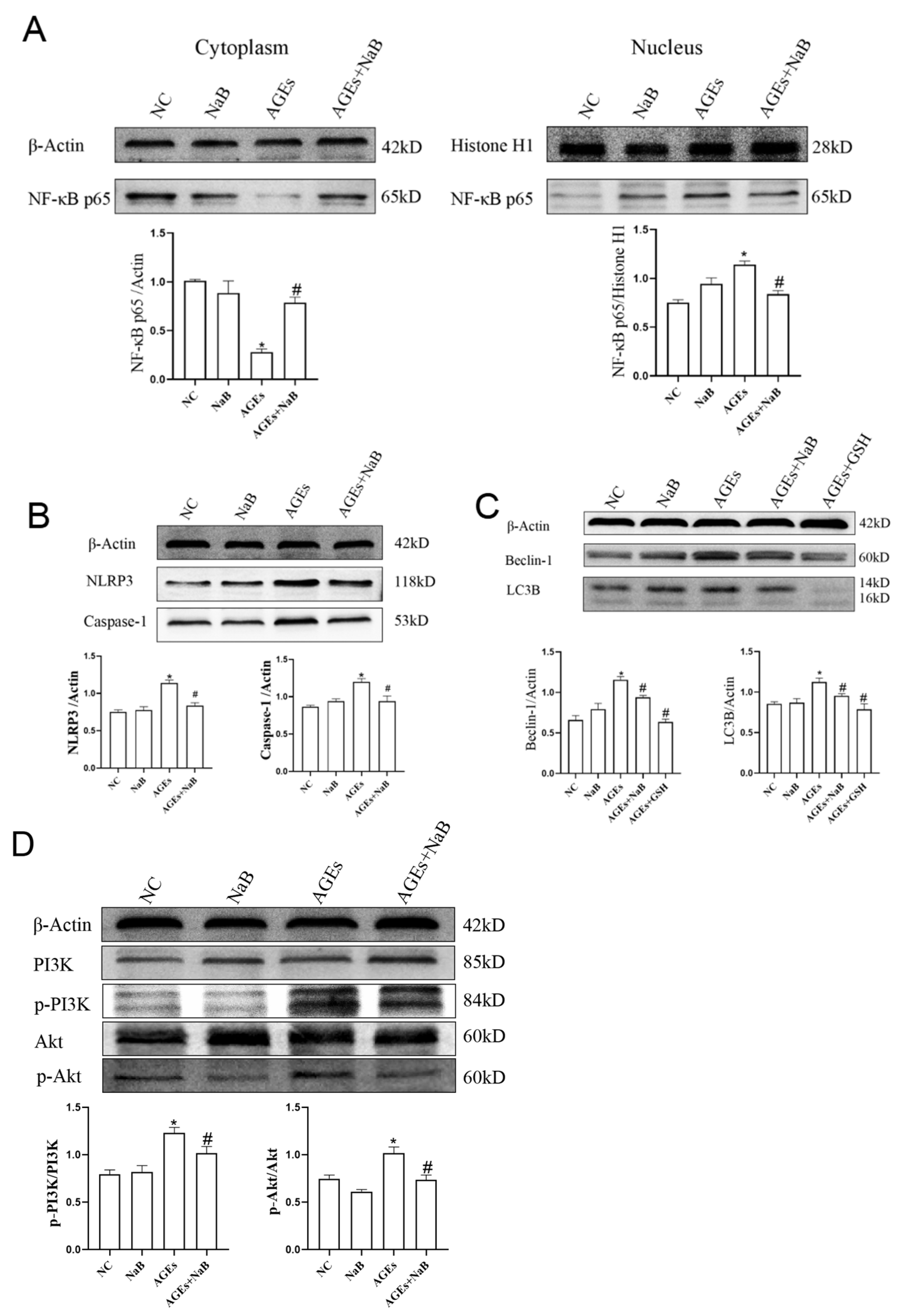 Molecules 27 08715 g003