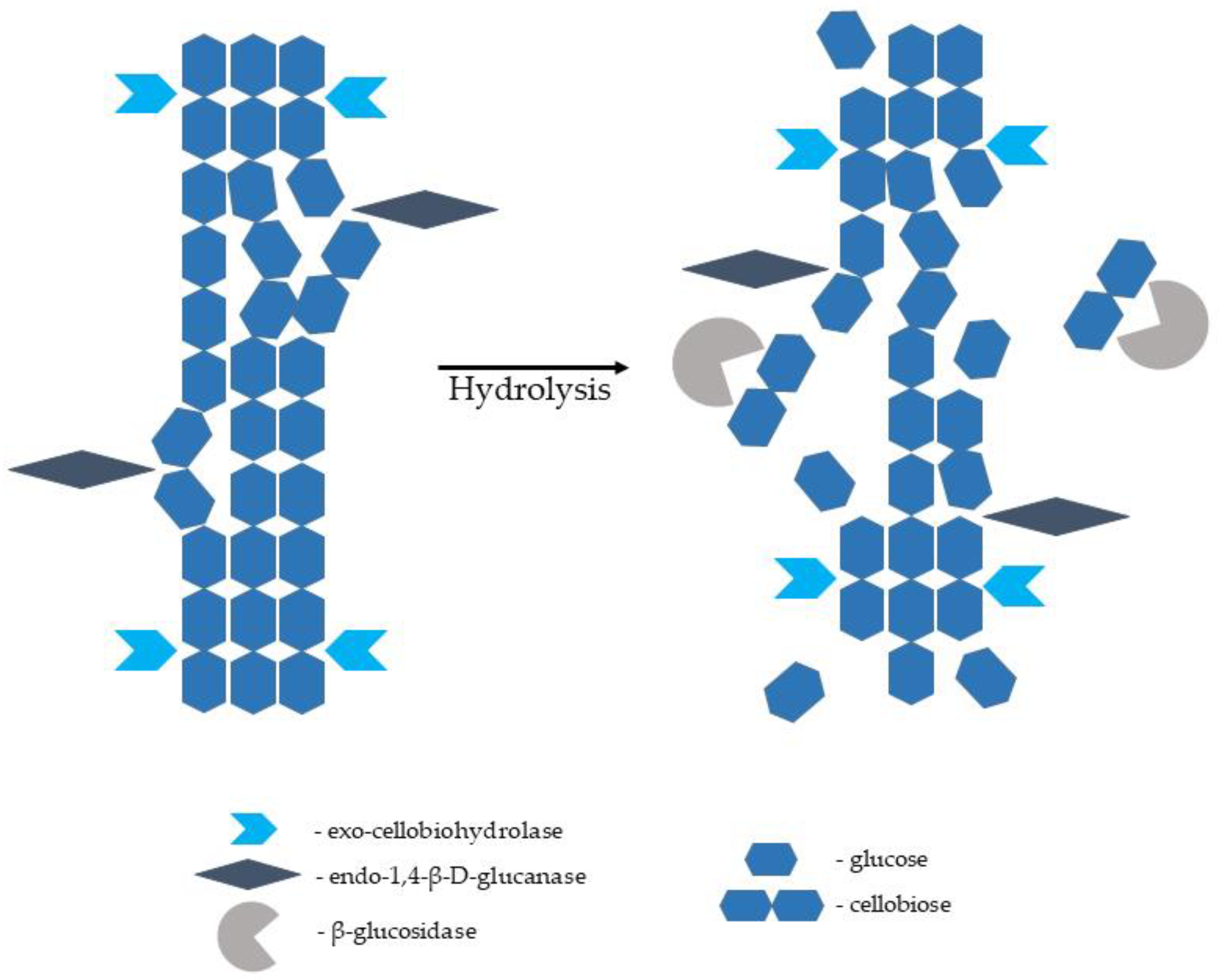 Molecules 27 08717 g006 Molecules 27 08717 g006