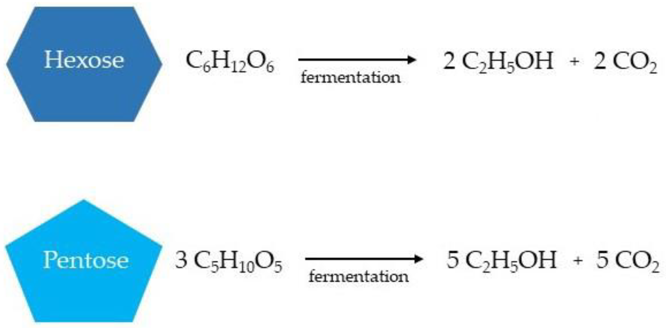 Molecules 27 08717 g007 Molecules 27 08717 g007