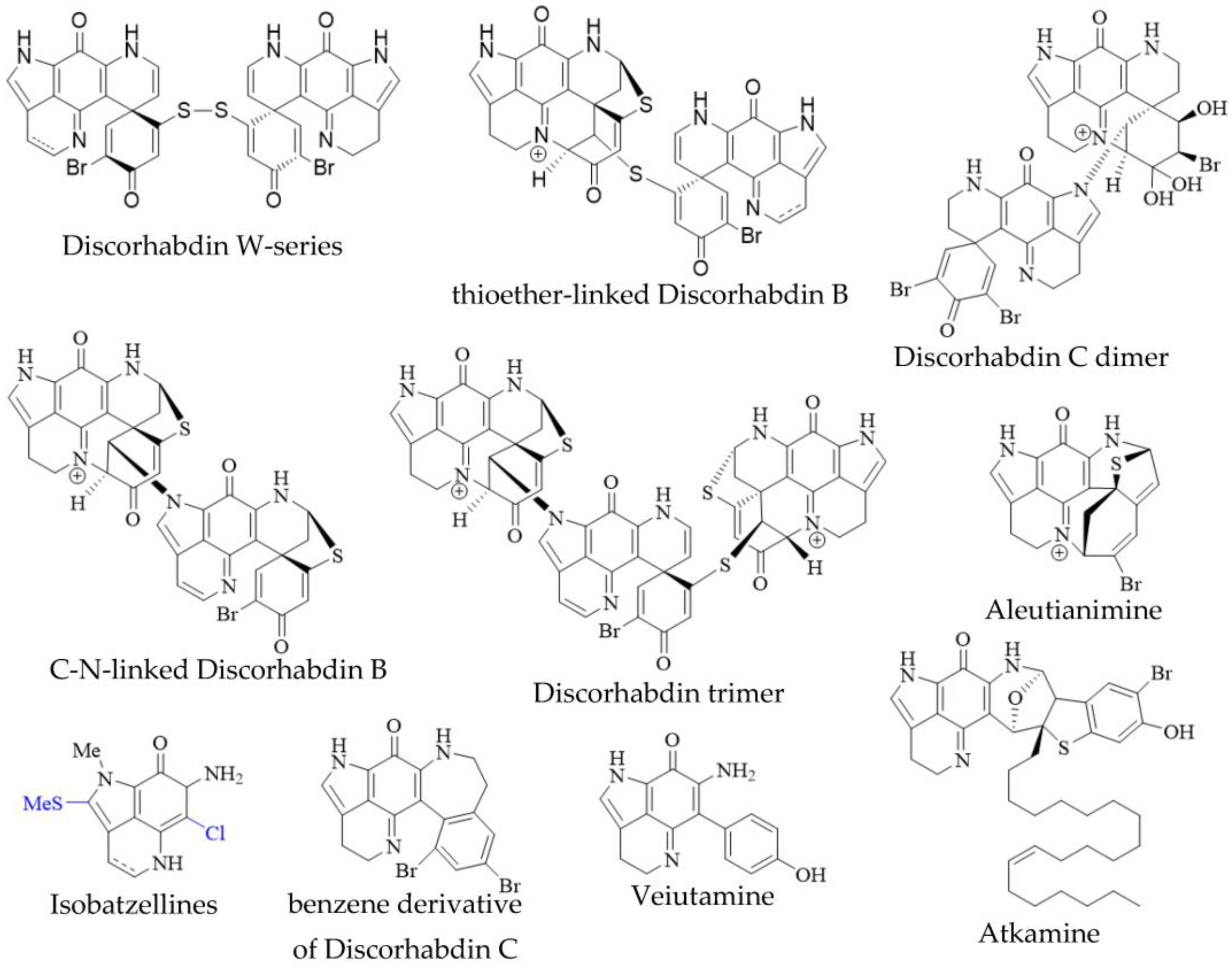 Molecules 27 08724 g003 Molecules 27 08724 g003
