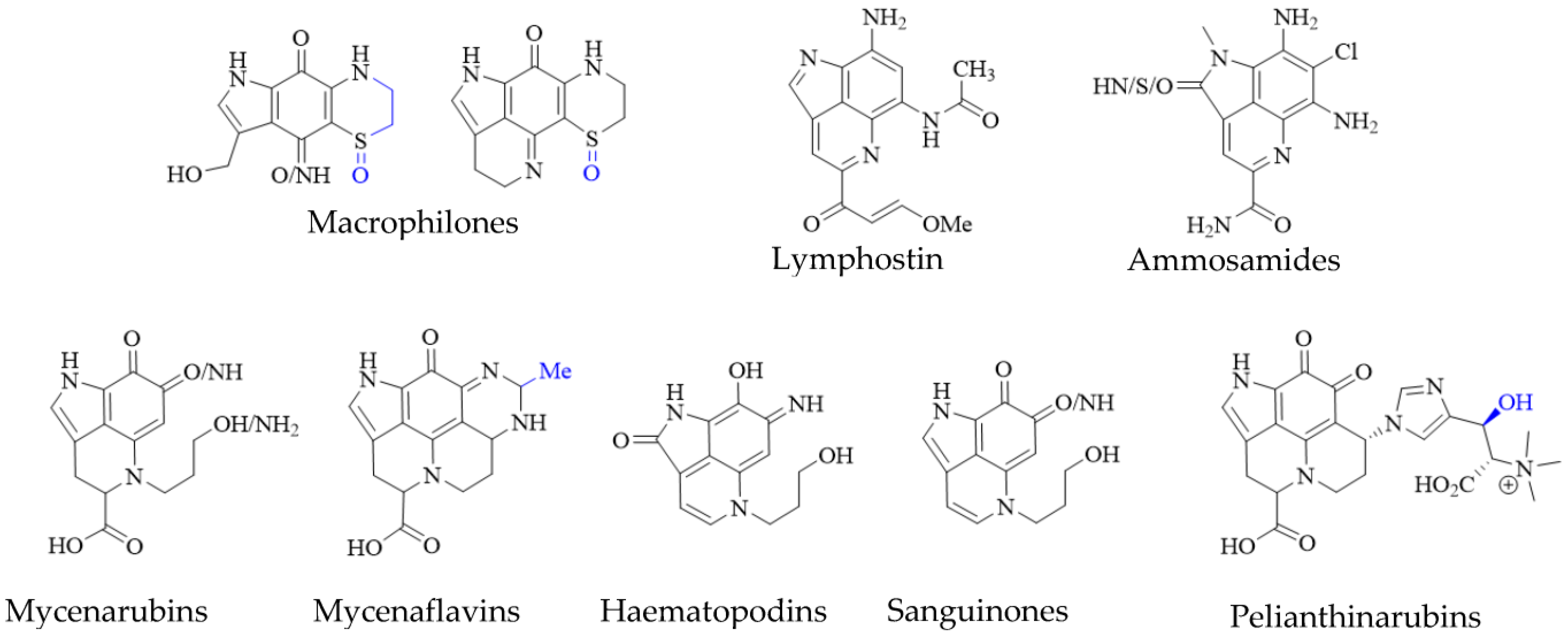Molecules 27 08724 g005 Molecules 27 08724 g005