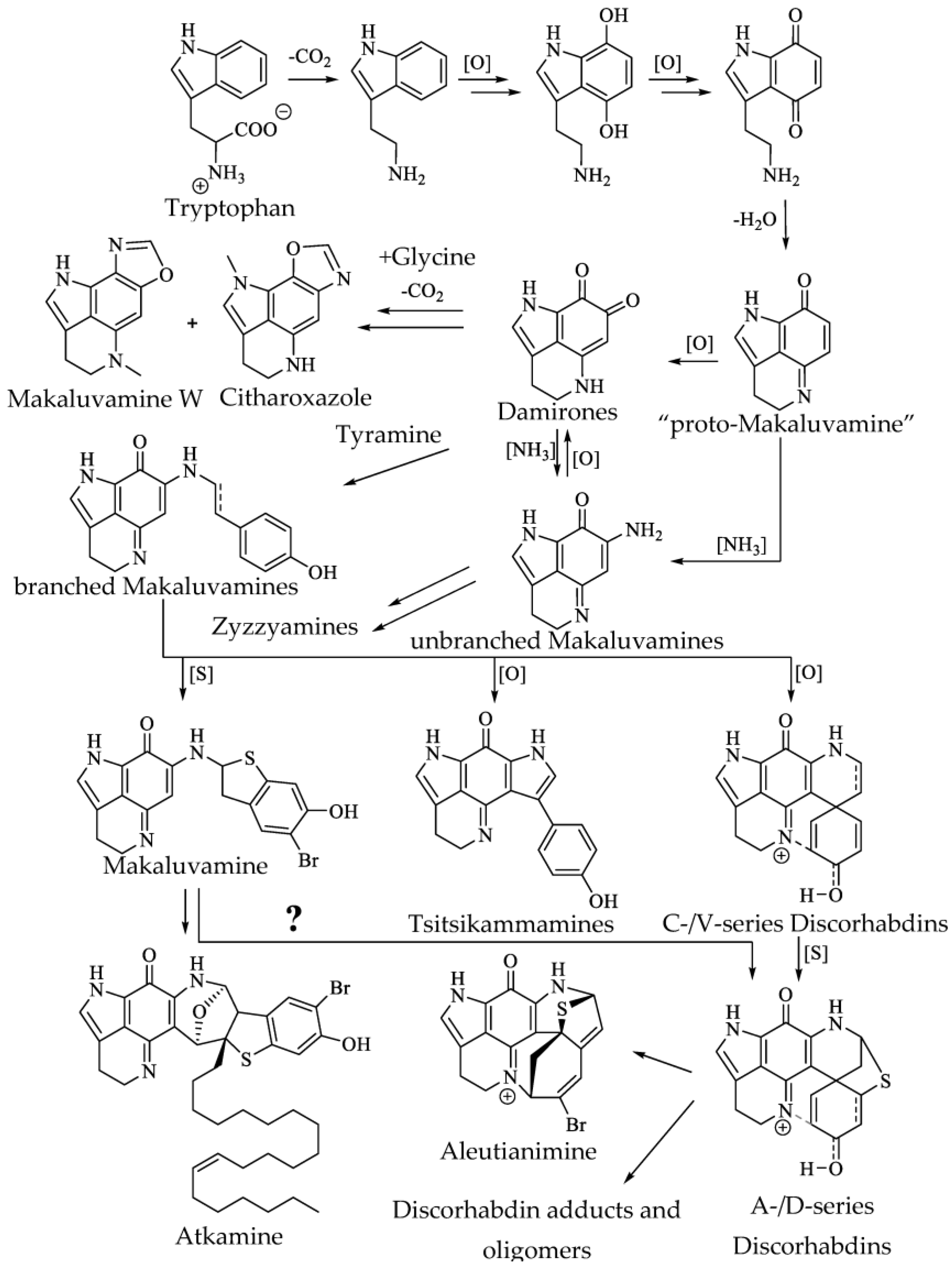 Molecules 27 08724 g006 Molecules 27 08724 g006