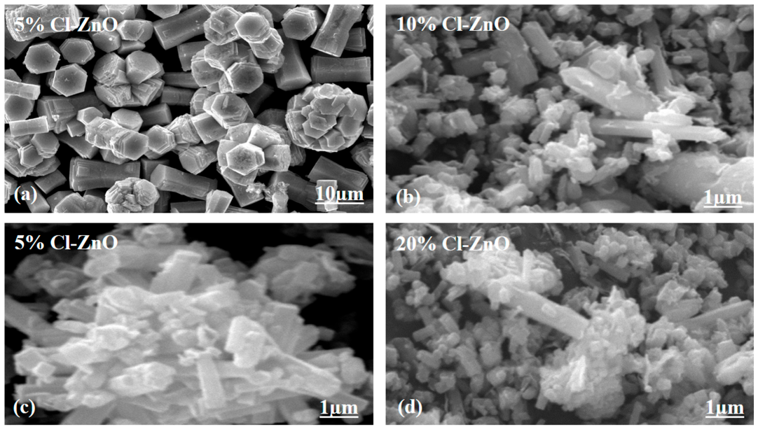 Molecules 27 08726 g002
