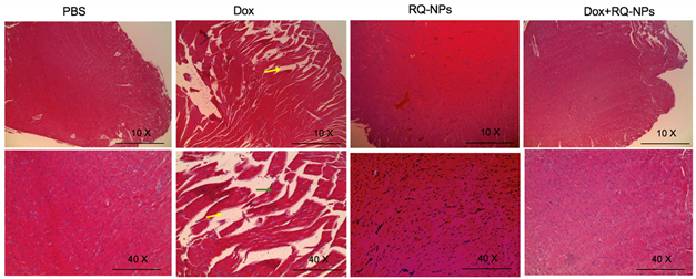 Molecules 27 08730 i001