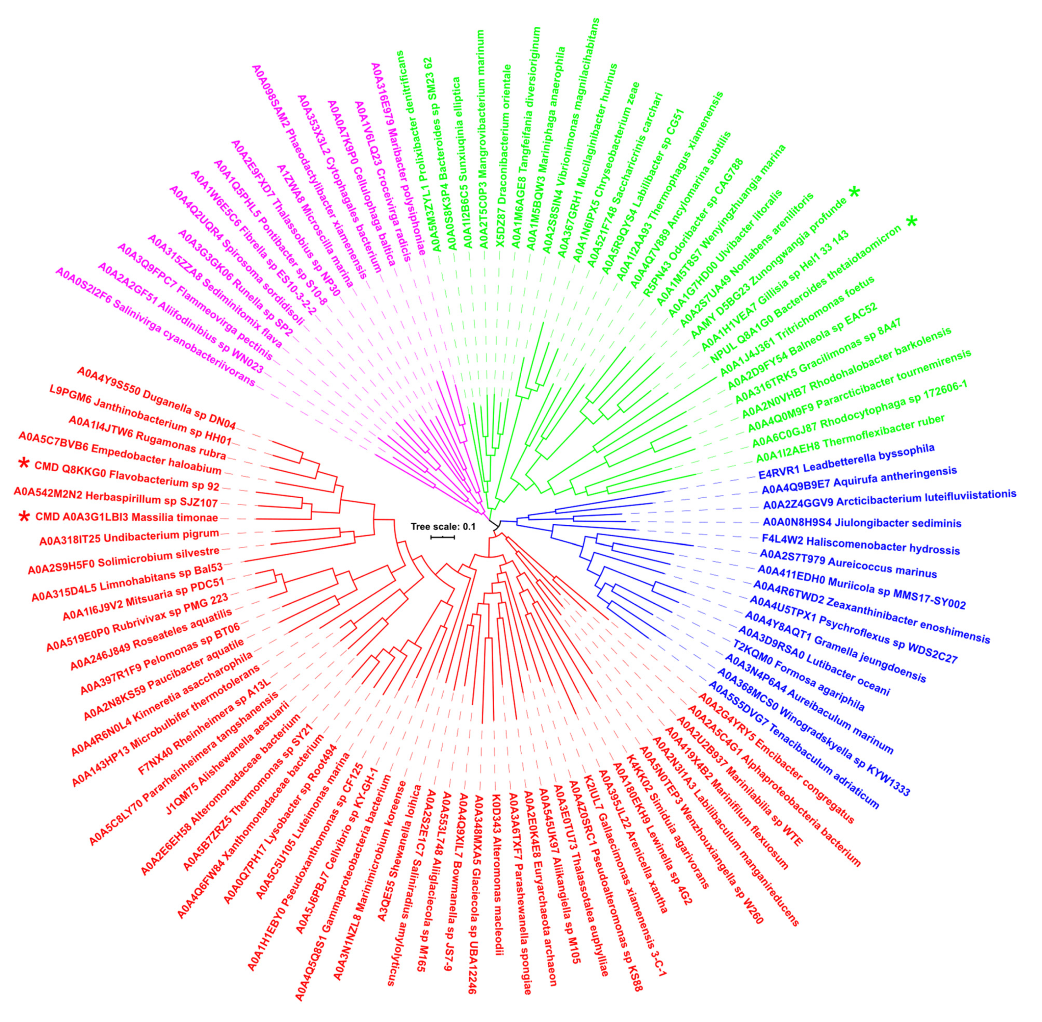 Molecules 27 08735 g002