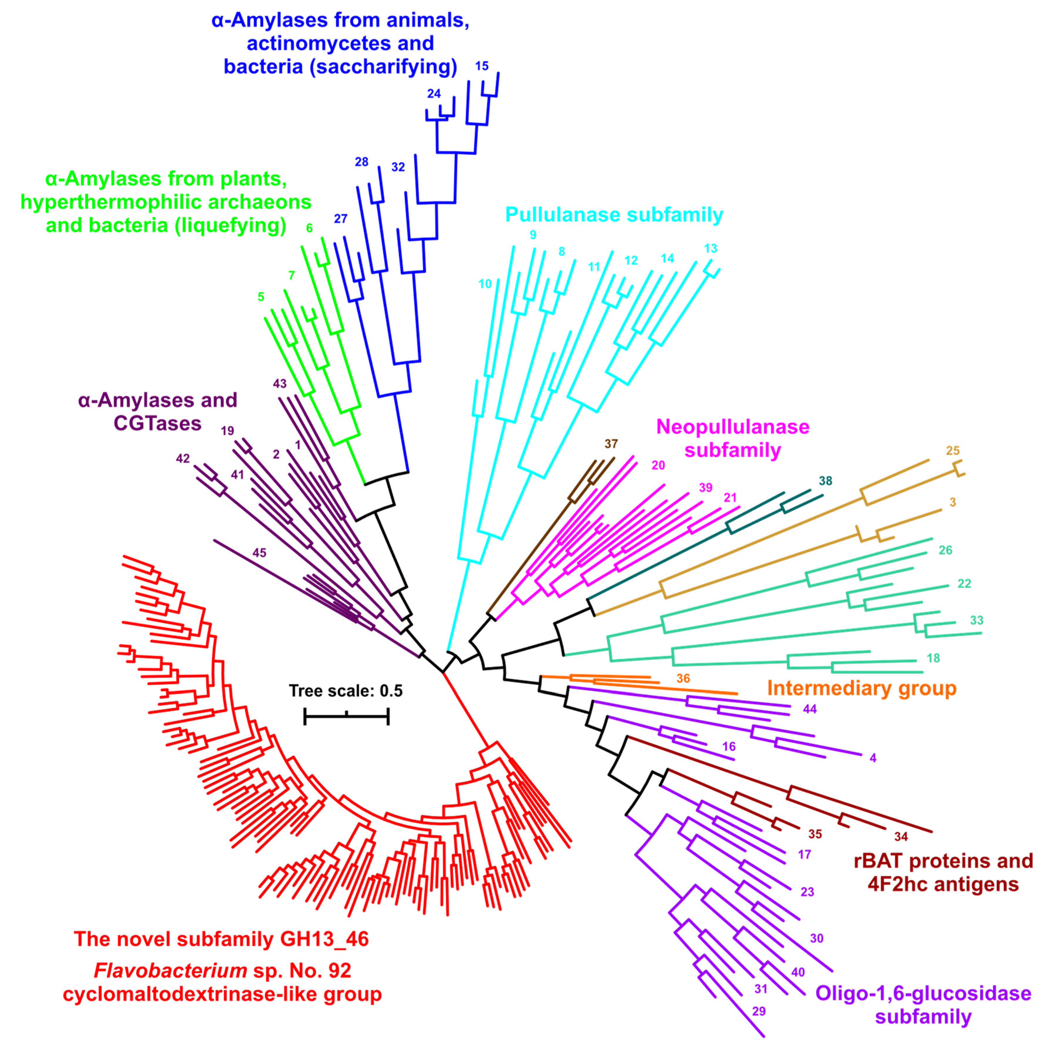 Molecules 27 08735 g004