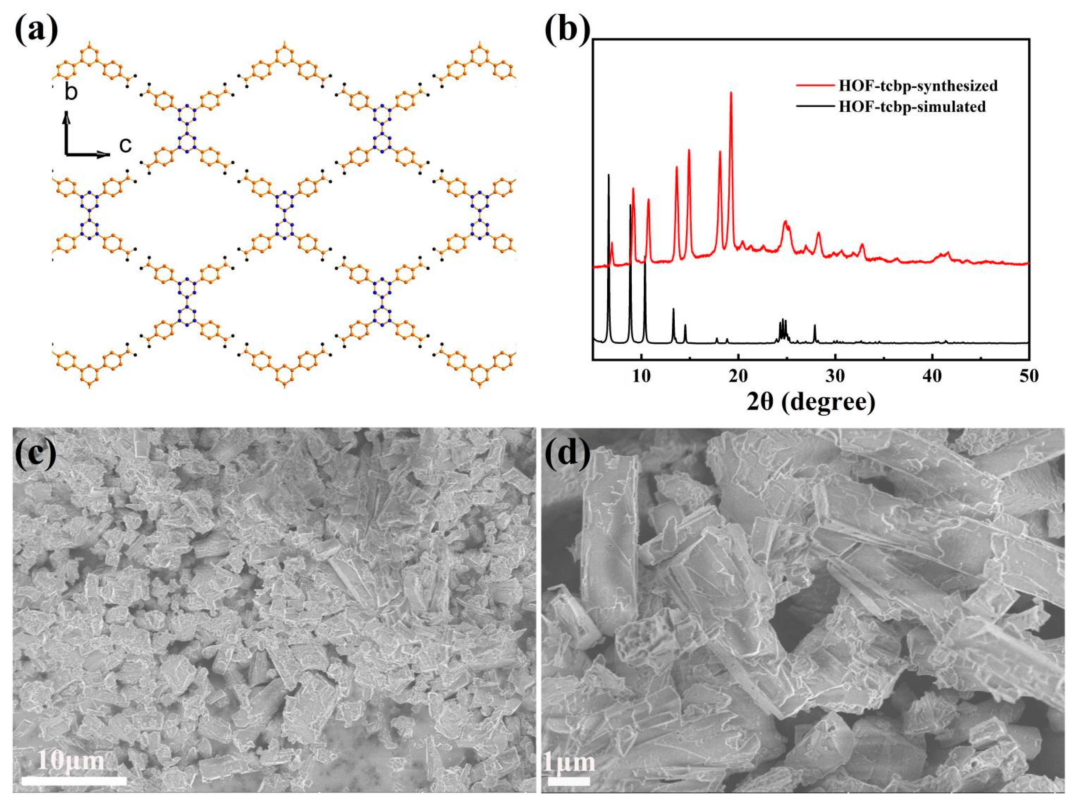 Molecules 27 08750 g001