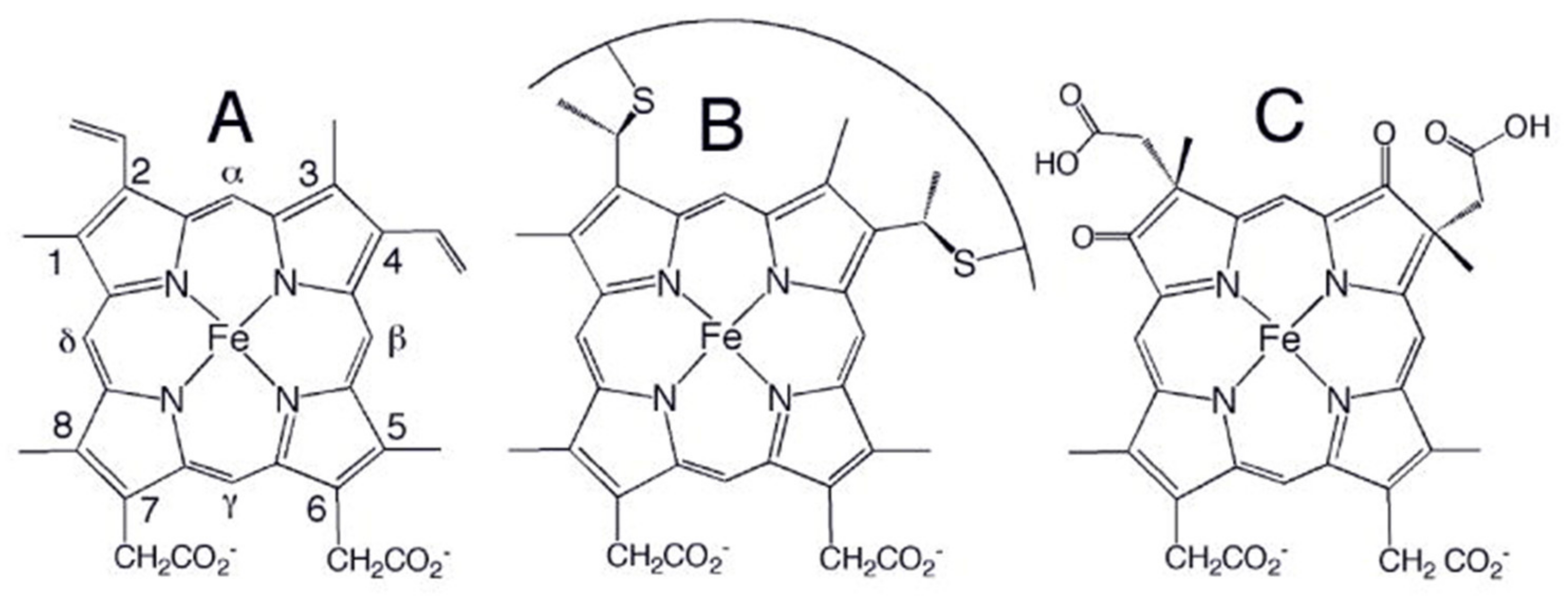 Molecules 27 08751 g001 Molecules 27 08751 g001