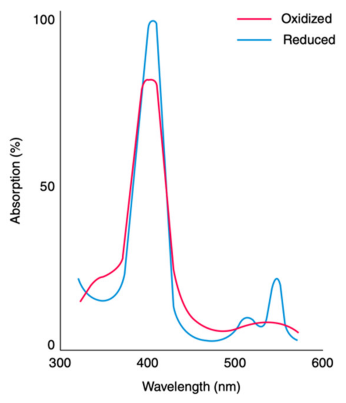 Molecules 27 08751 g005 Molecules 27 08751 g005