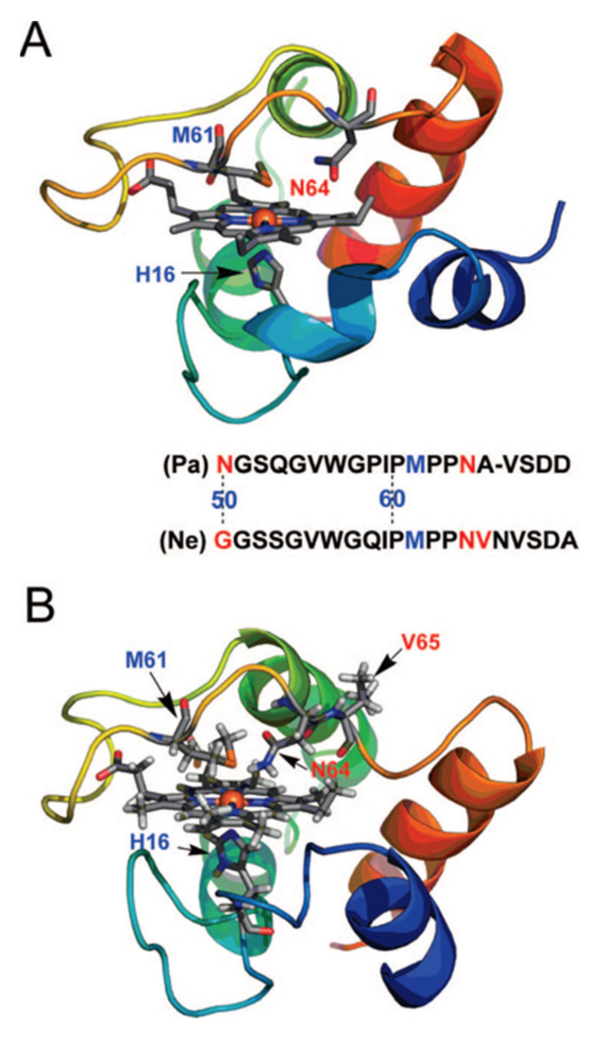 Molecules 27 08751 g007 Molecules 27 08751 g007