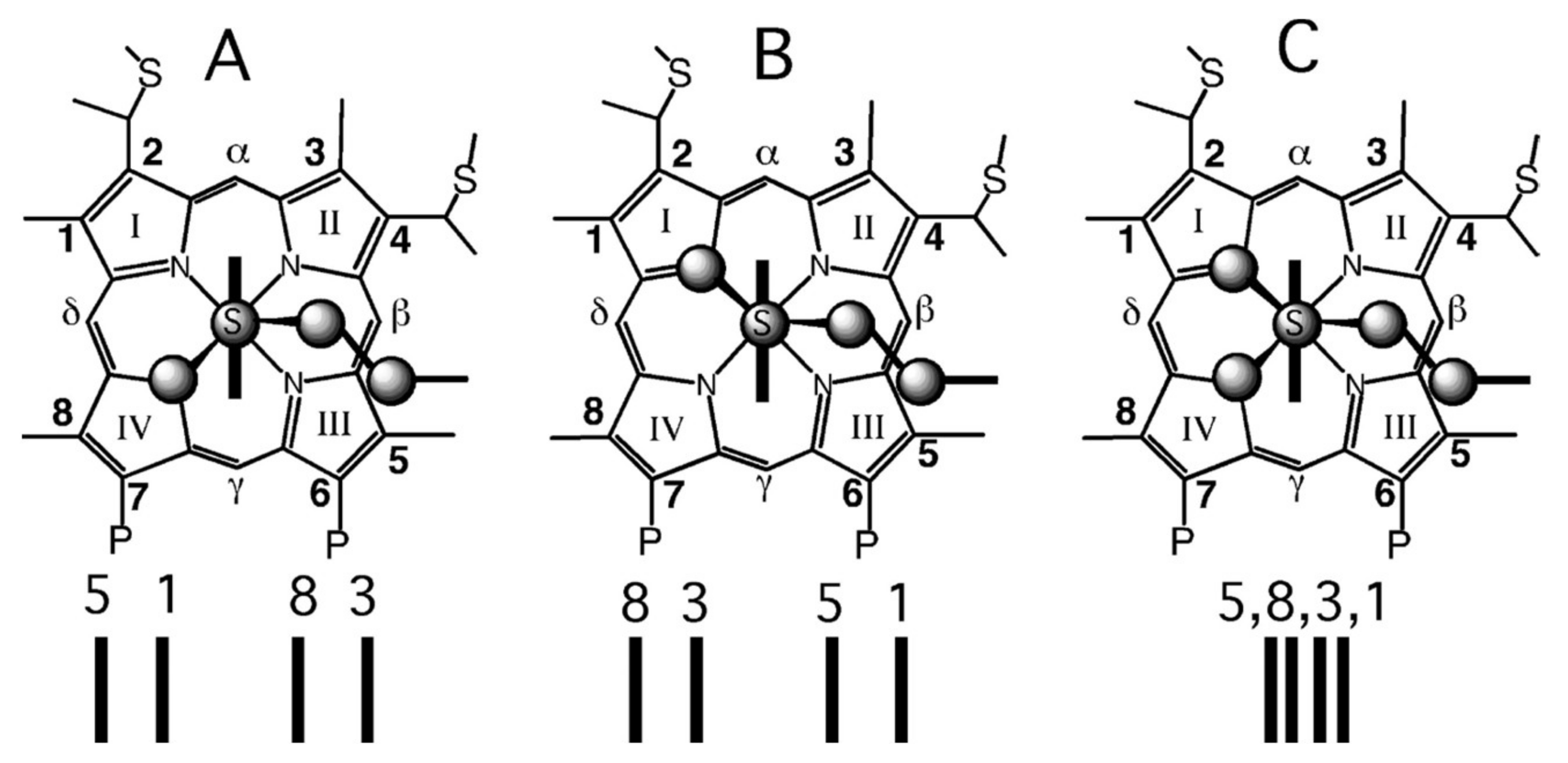 Molecules 27 08751 g009 Molecules 27 08751 g009