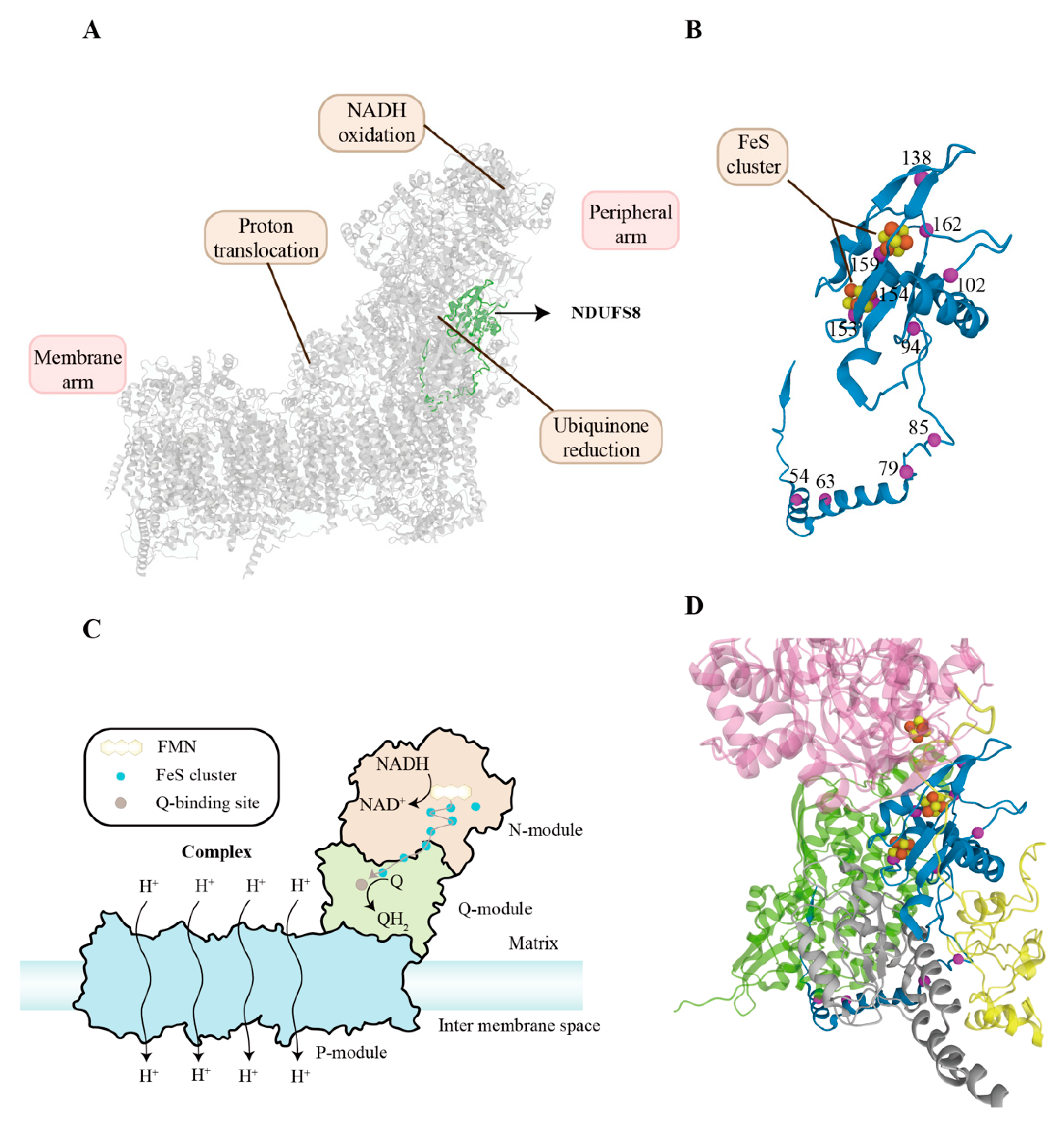 Molecules 27 08754 g001