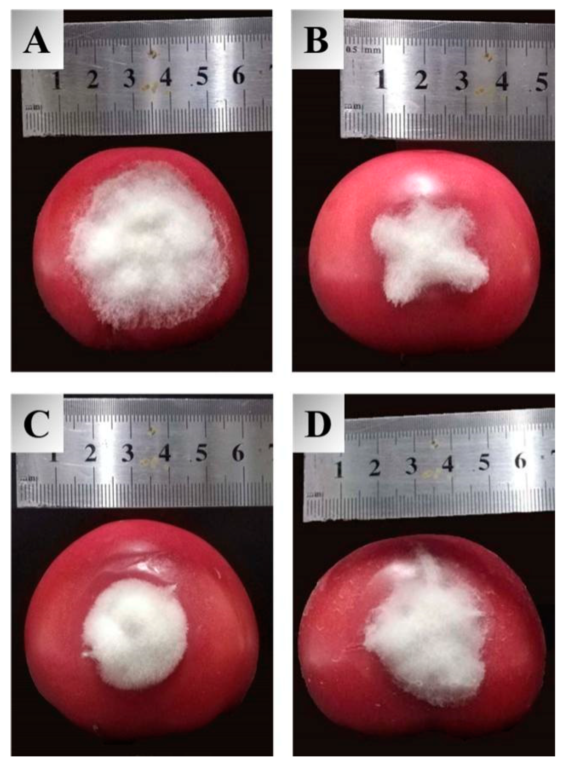 Molecules 27 08755 g002