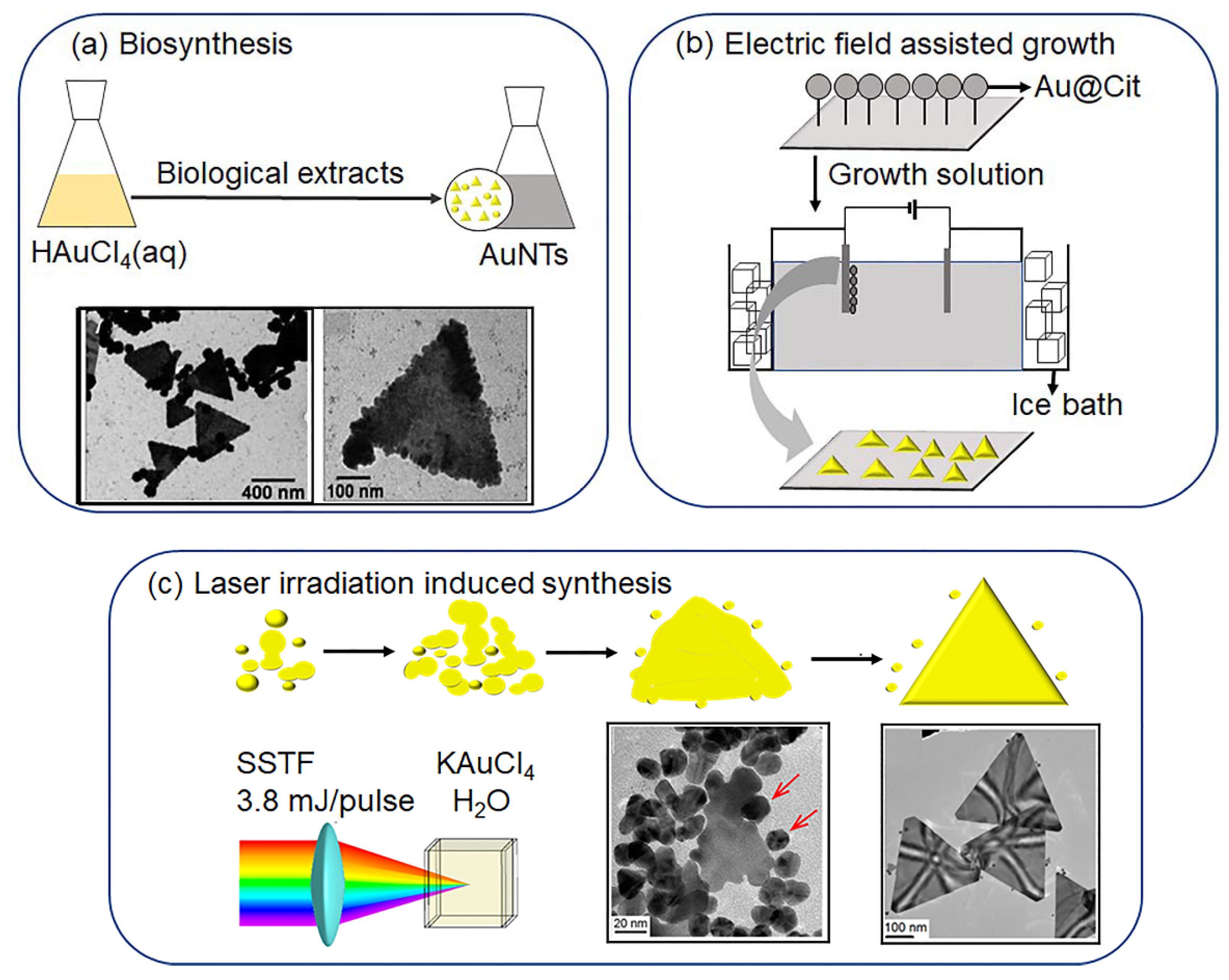 Molecules 27 08766 g003 Molecules 27 08766 g003