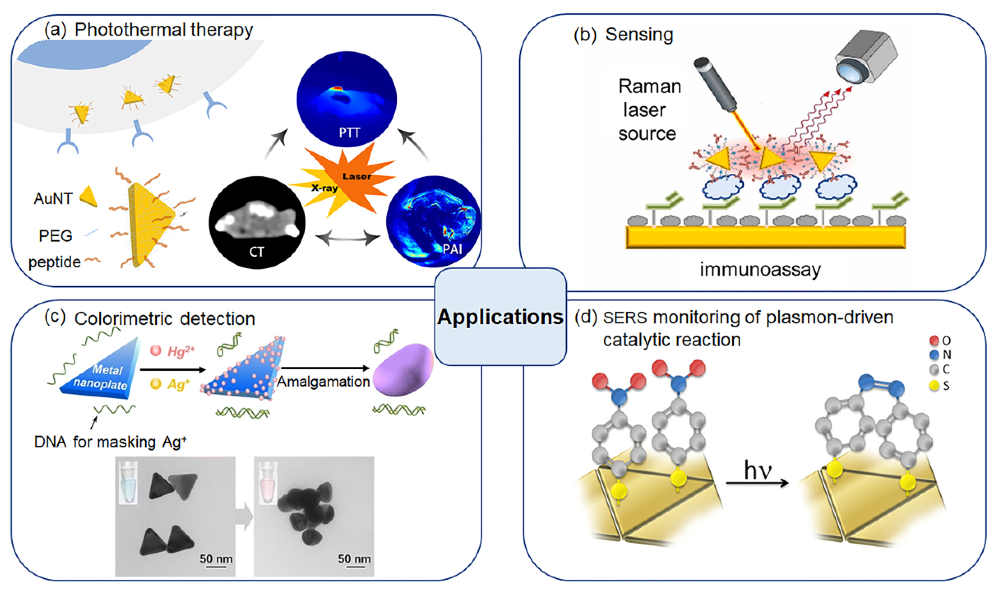 Molecules 27 08766 g005 Molecules 27 08766 g005