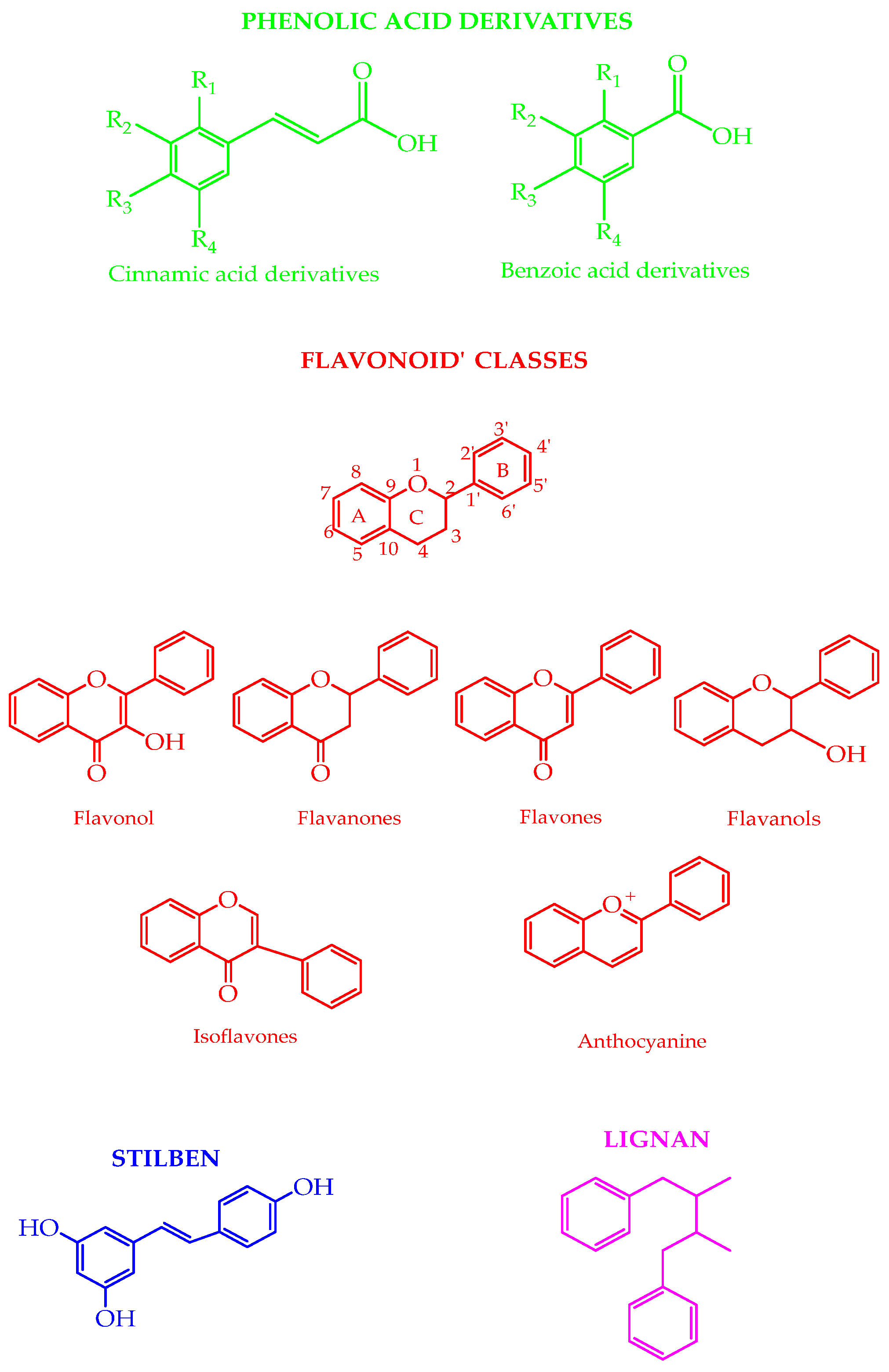 Molecules 27 08777 g001 Molecules 27 08777 g001