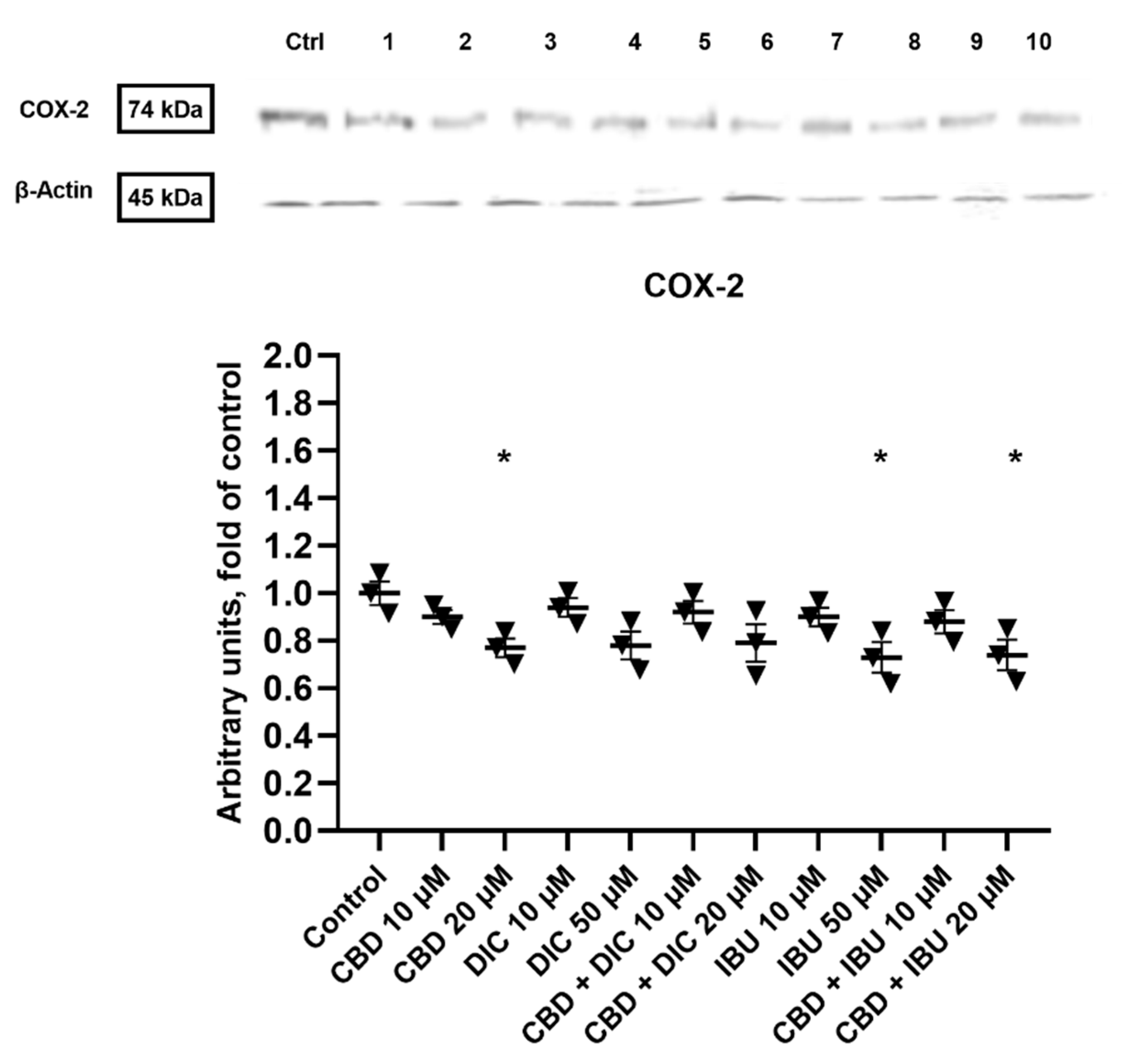 Molecules 27 08779 g007