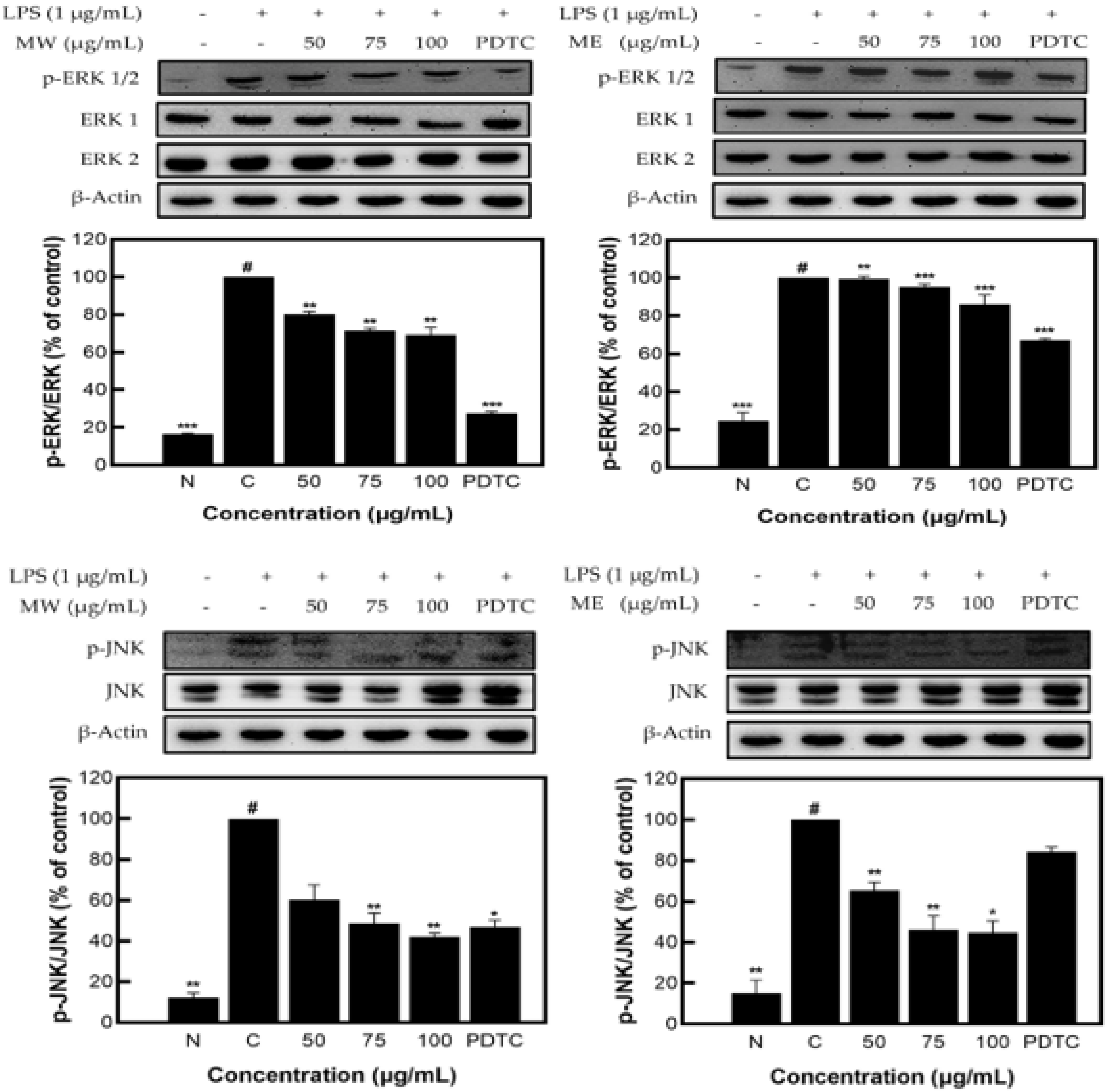Molecules 27 08797 g004