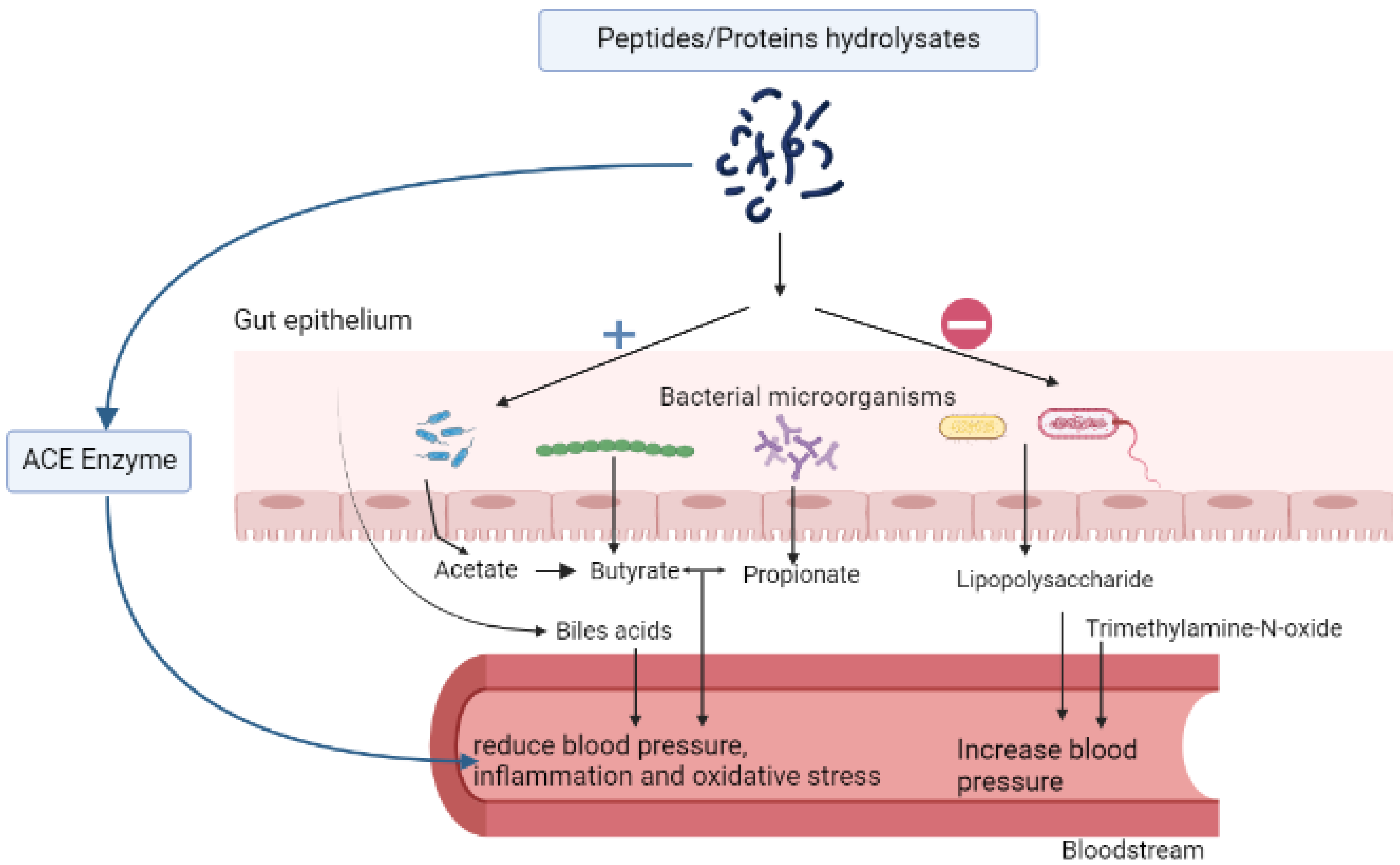 Molecules 27 08806 g001