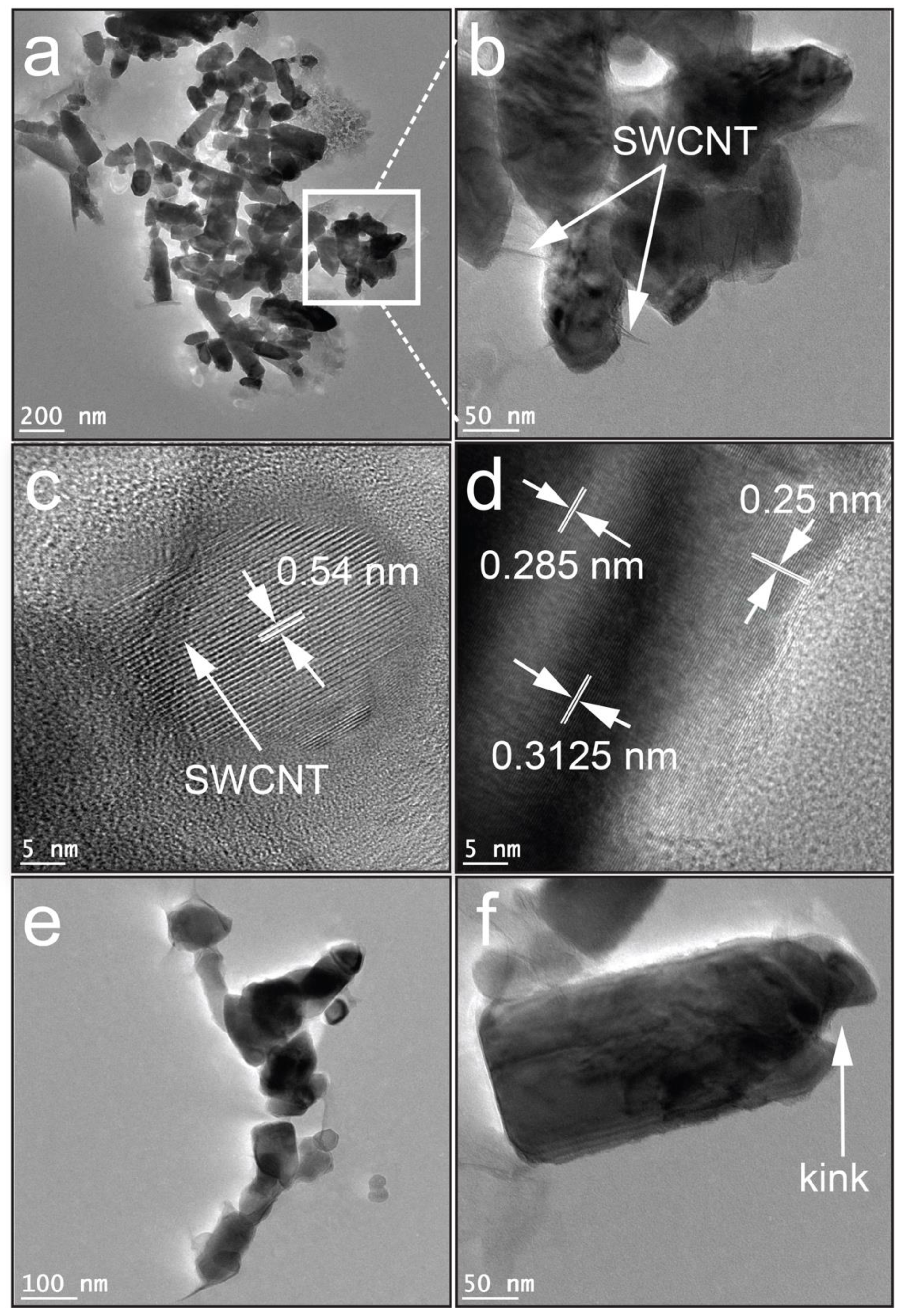 Molecules 27 08812 g003
