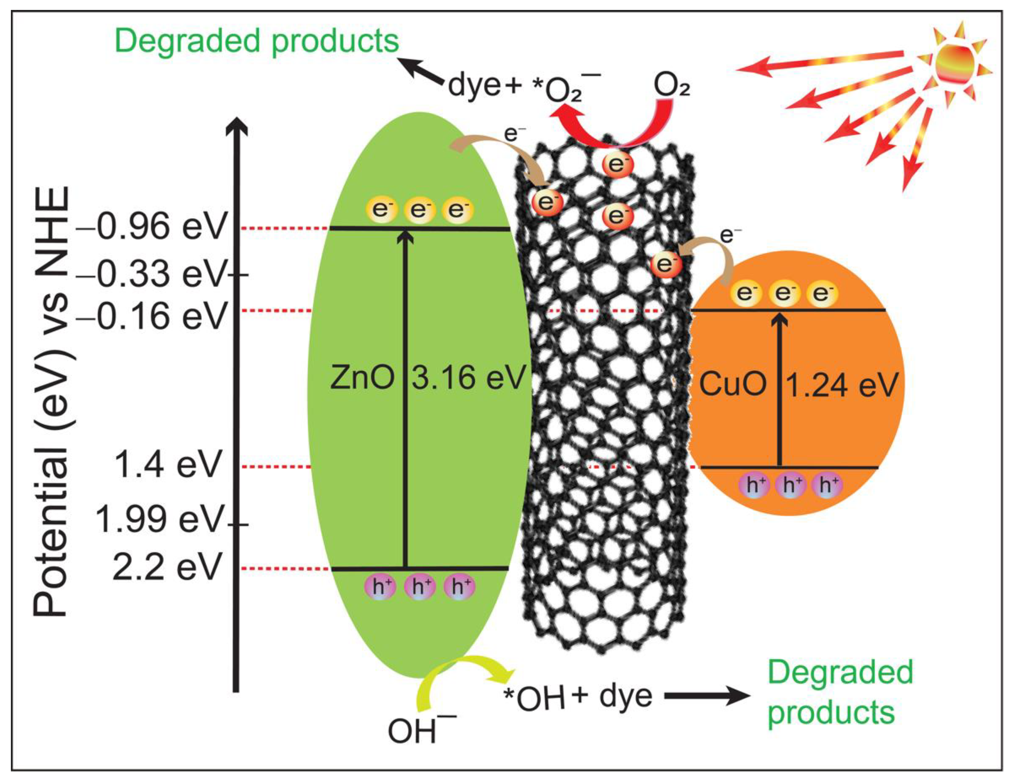 Molecules 27 08812 g011