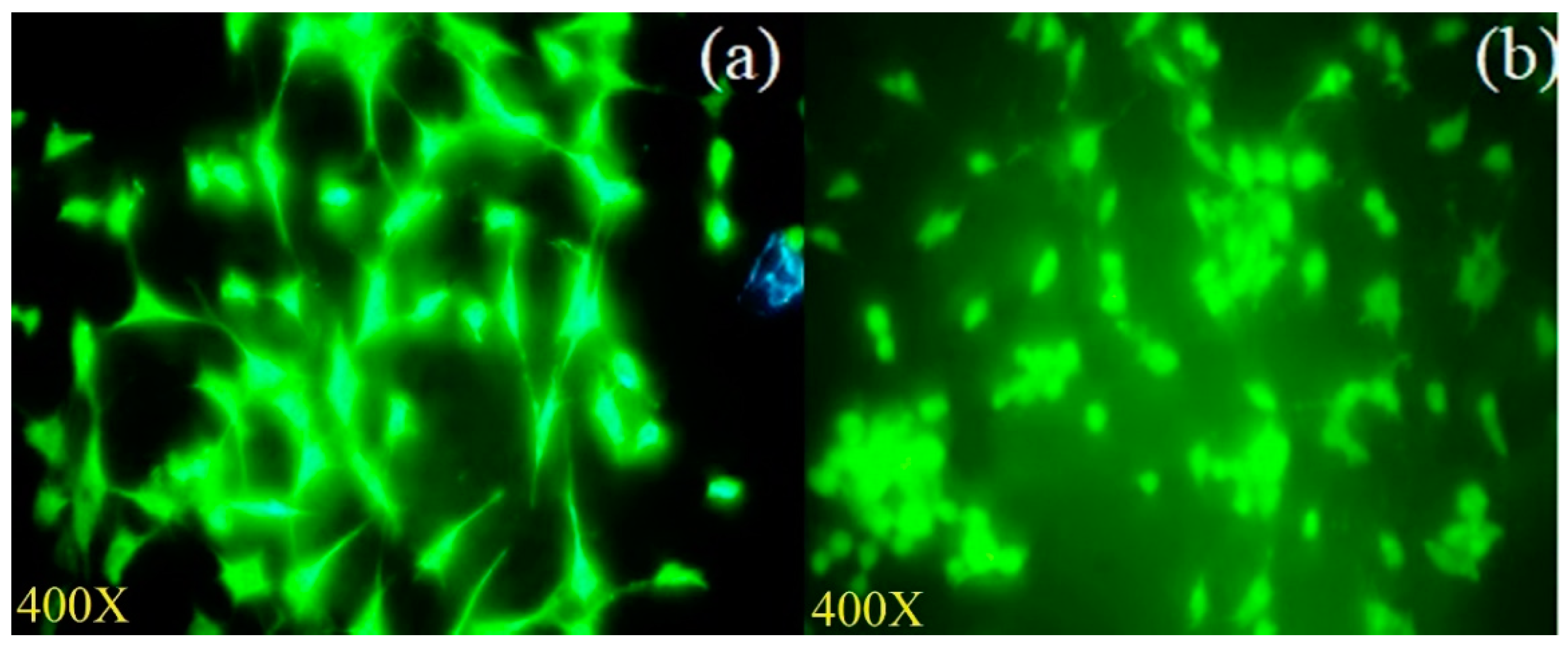 Molecules 27 08814 g006
