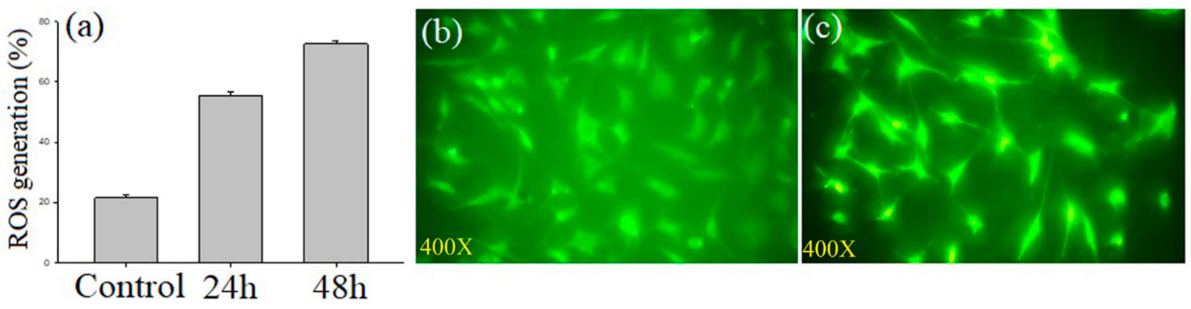 Molecules 27 08814 g008