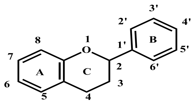 Molecules 27 08819 g002
