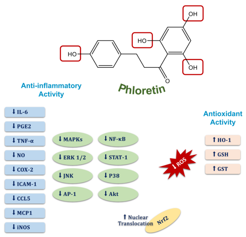 Molecules 27 08819 g007
