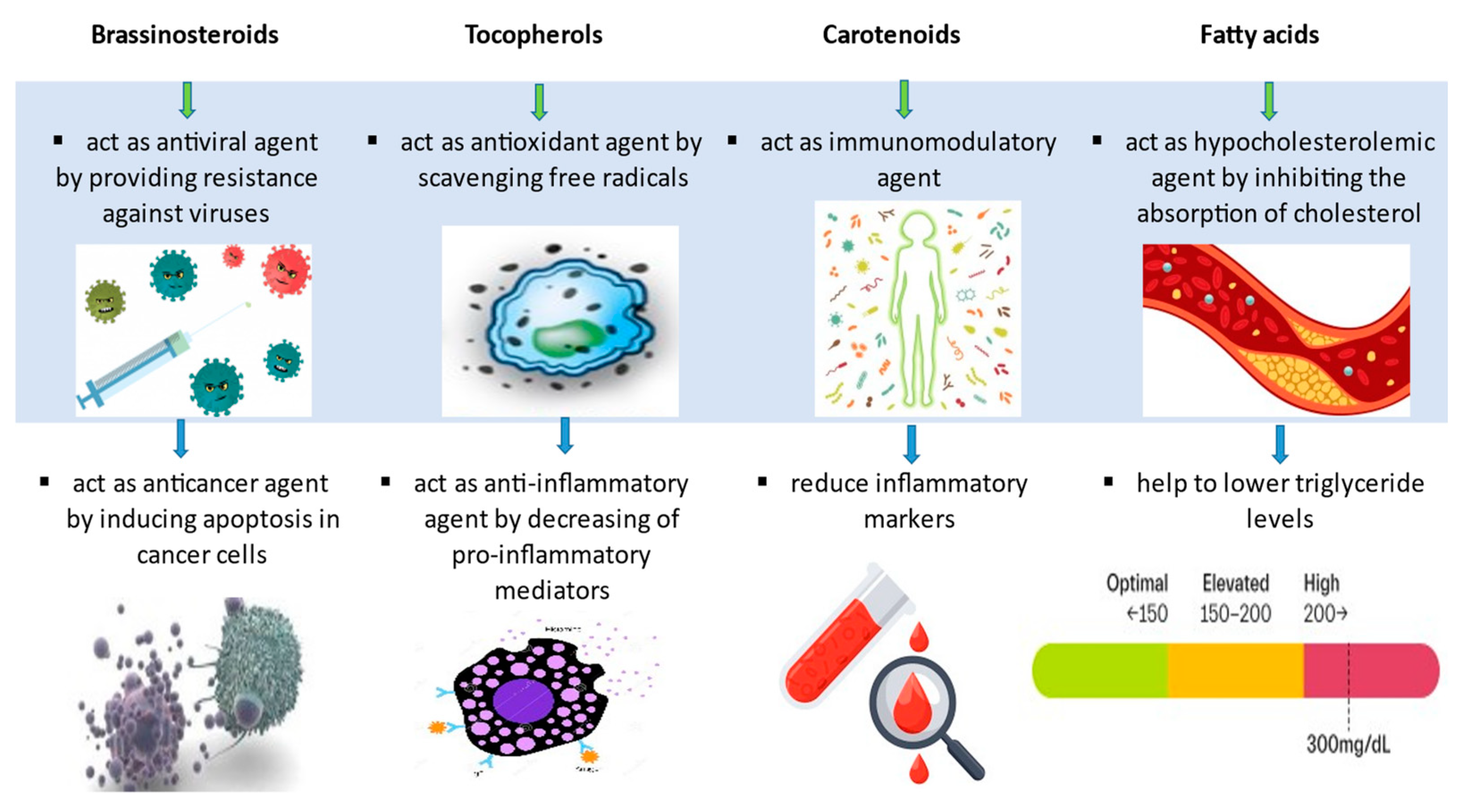 Molecules 27 08824 g001