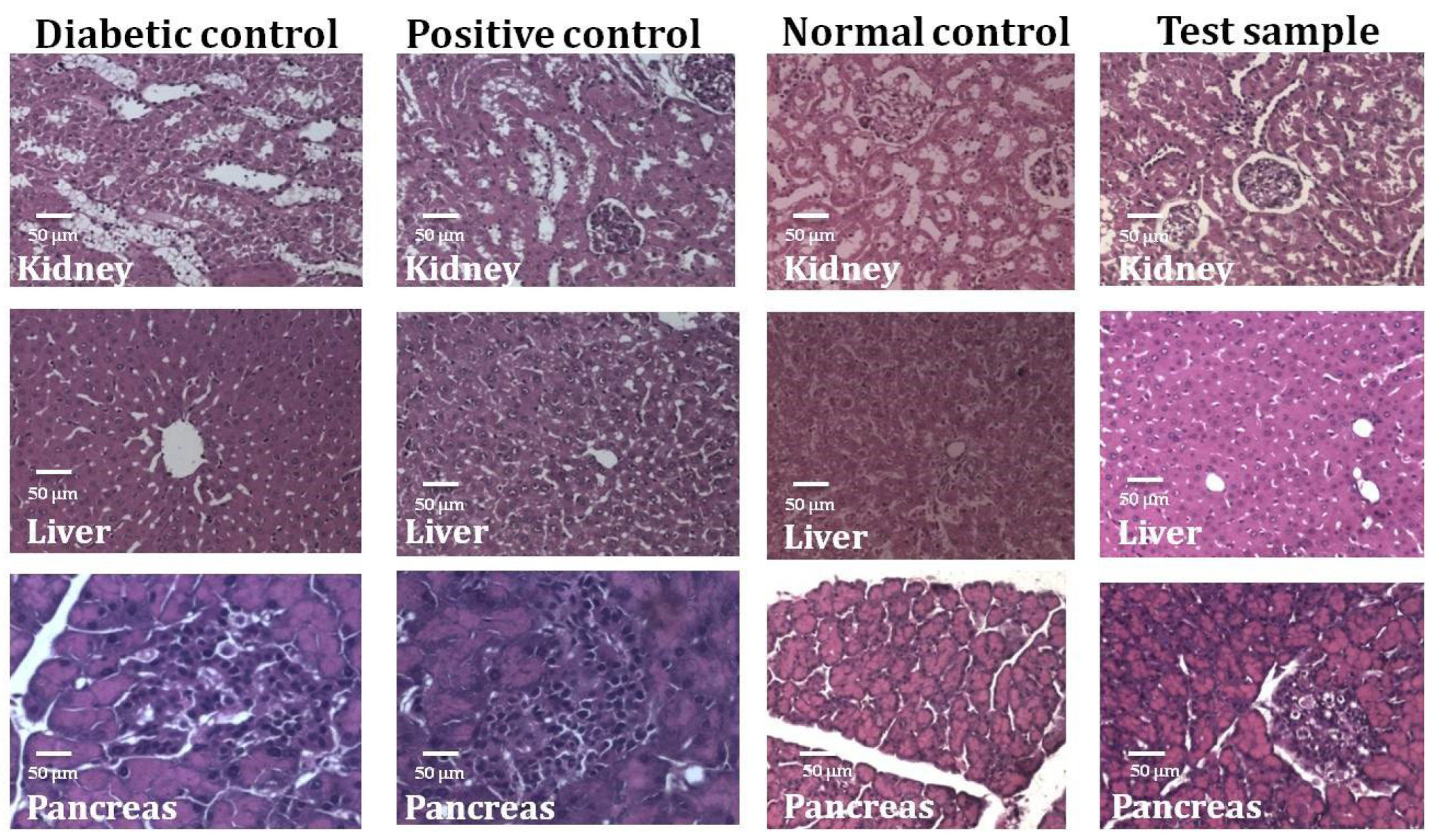 Molecules 27 08827 g004 Molecules 27 08827 g004
