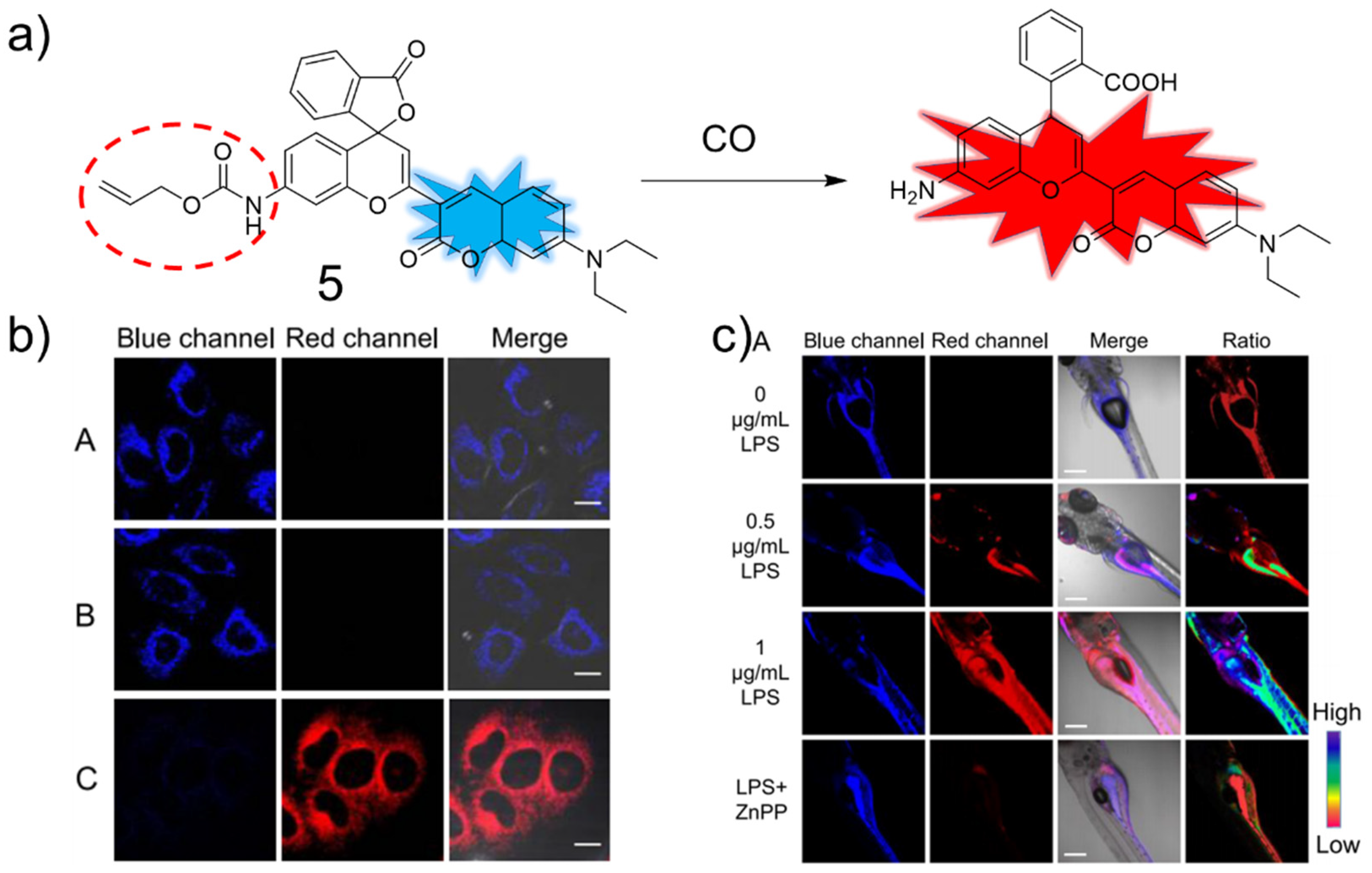 Molecules 27 08842 g005
