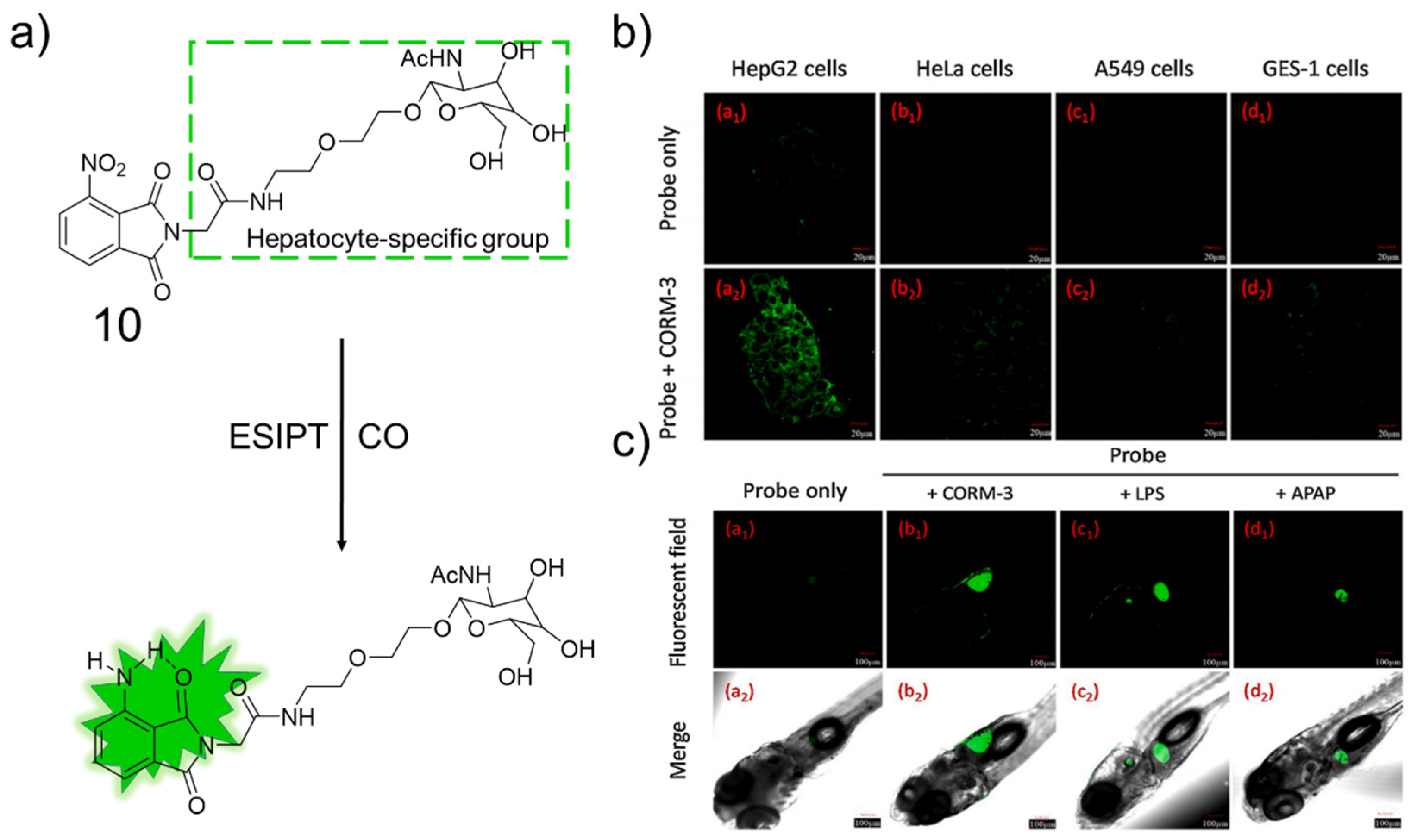 Molecules 27 08842 g007