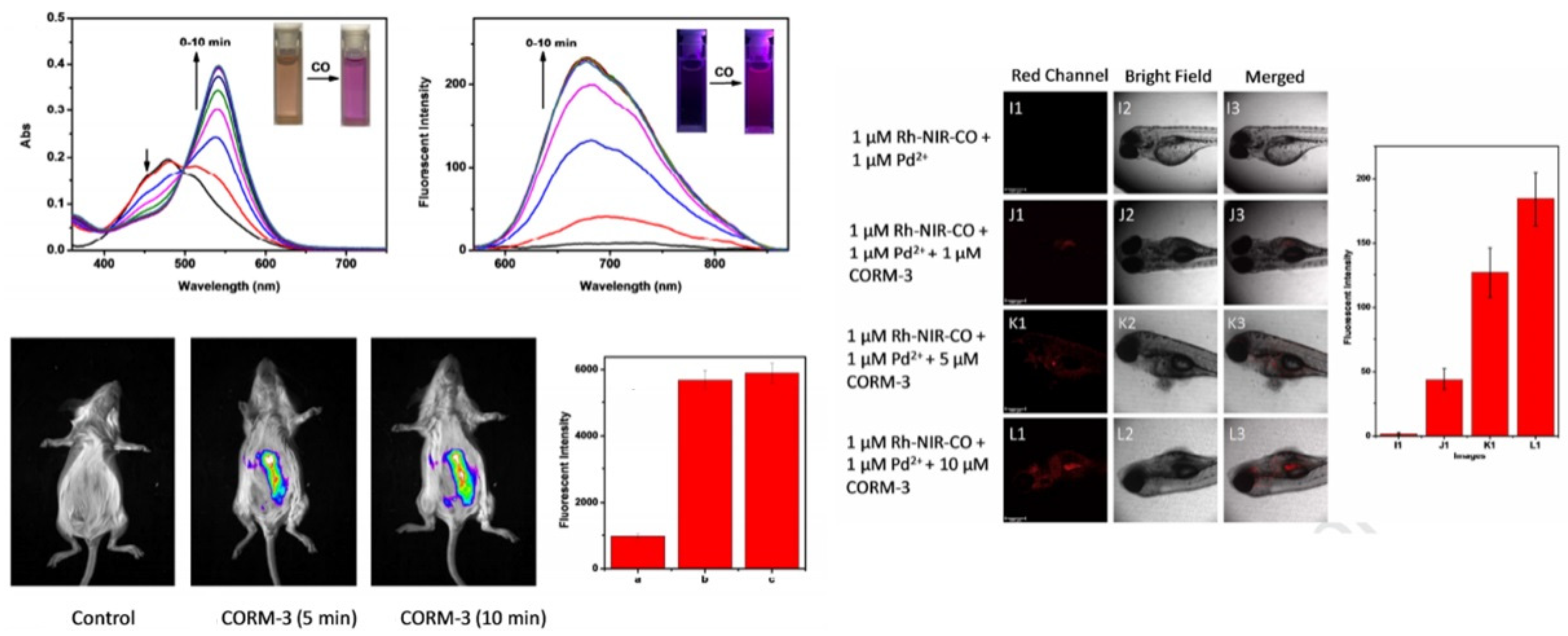 Molecules 27 08842 g009
