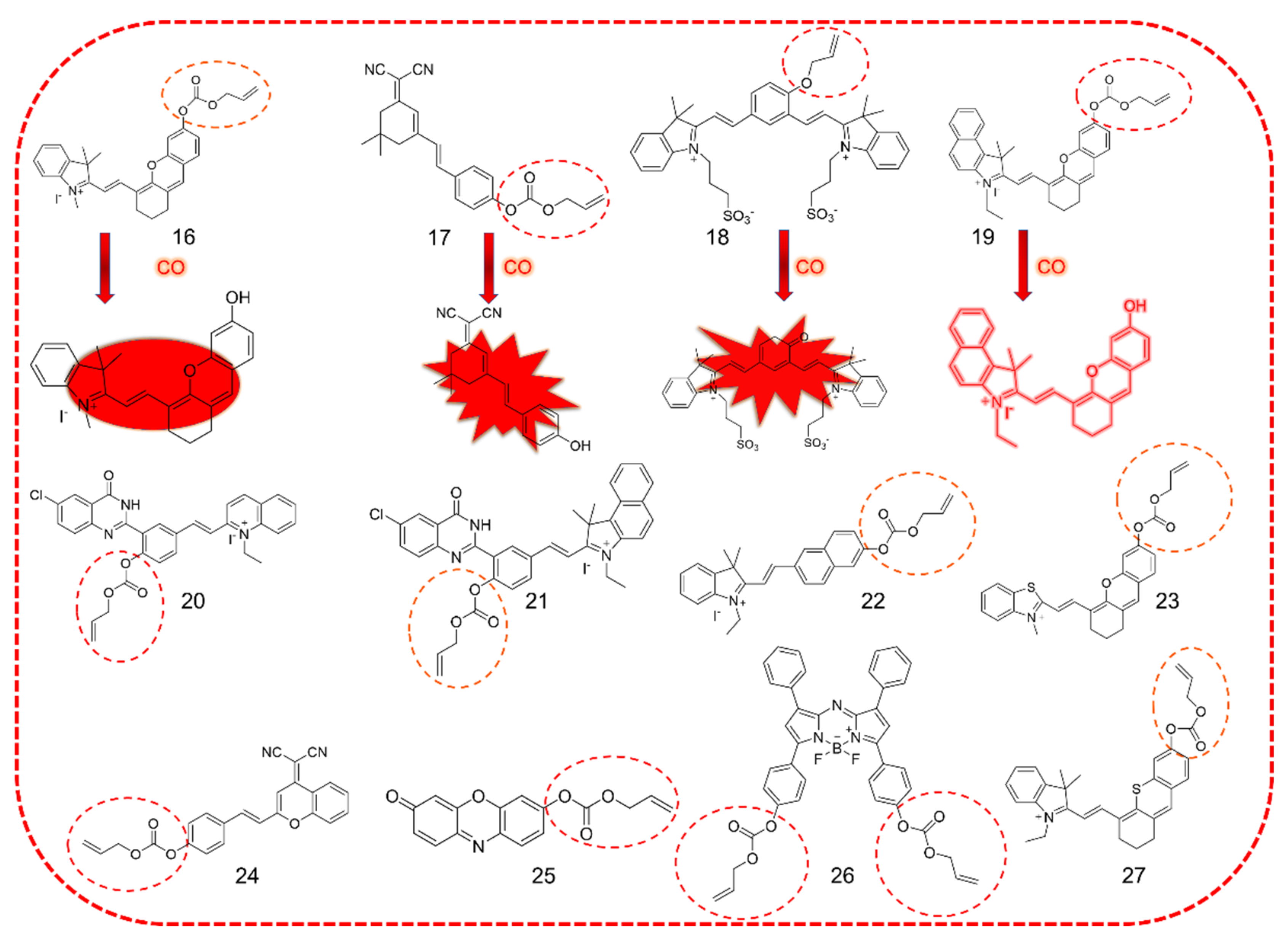 Molecules 27 08842 g010