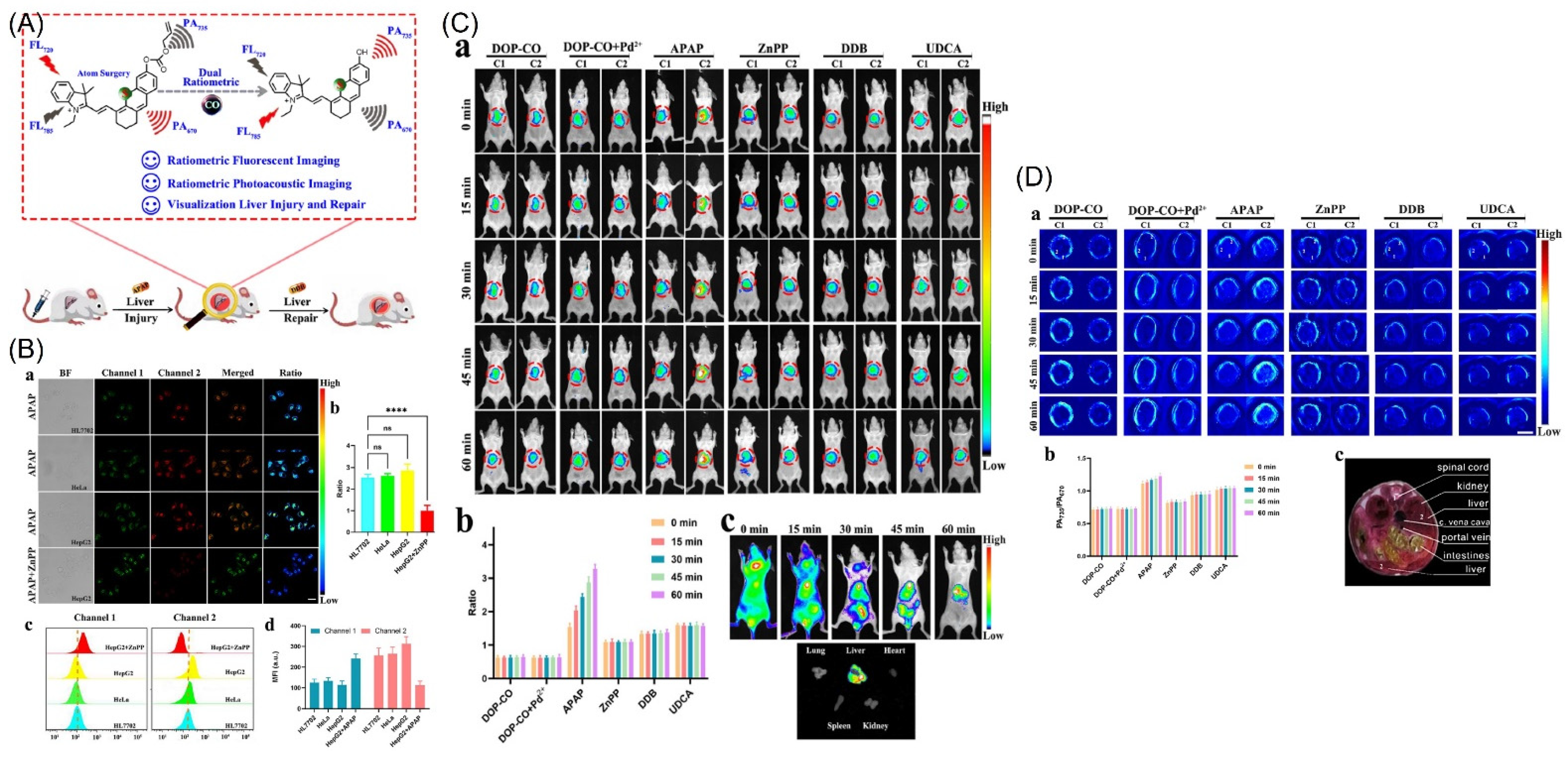 Molecules 27 08842 g011