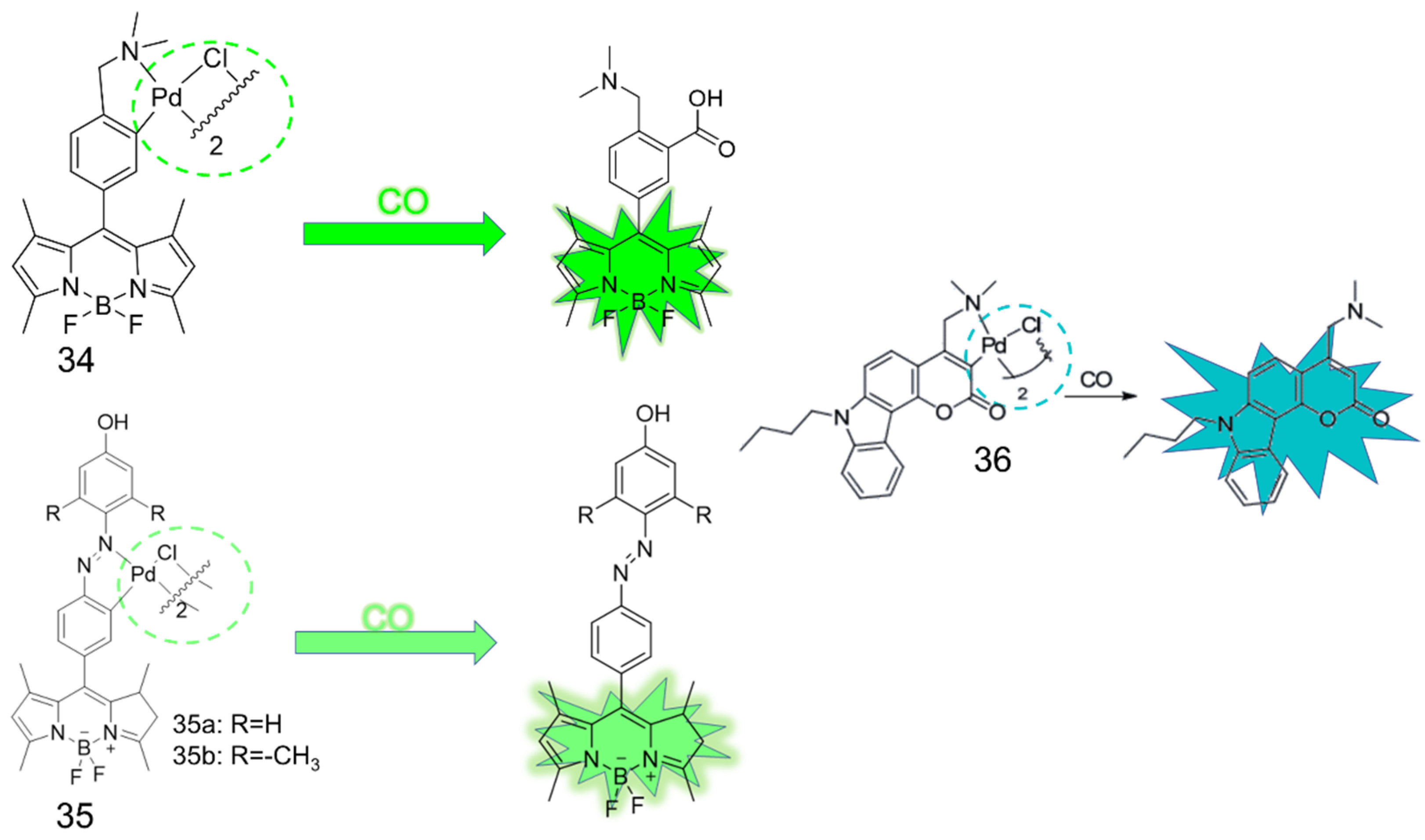 Molecules 27 08842 g013