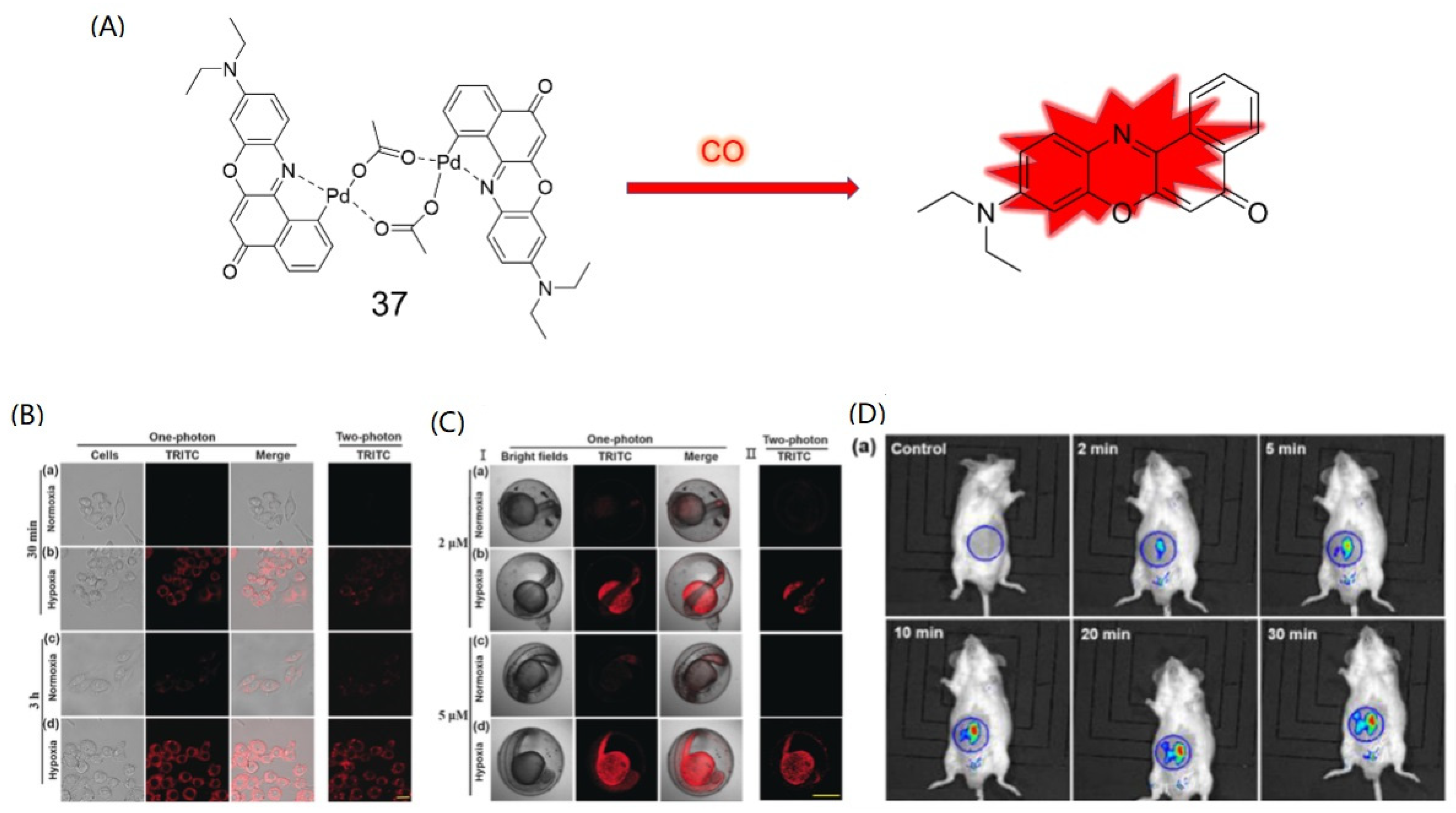 Molecules 27 08842 g014