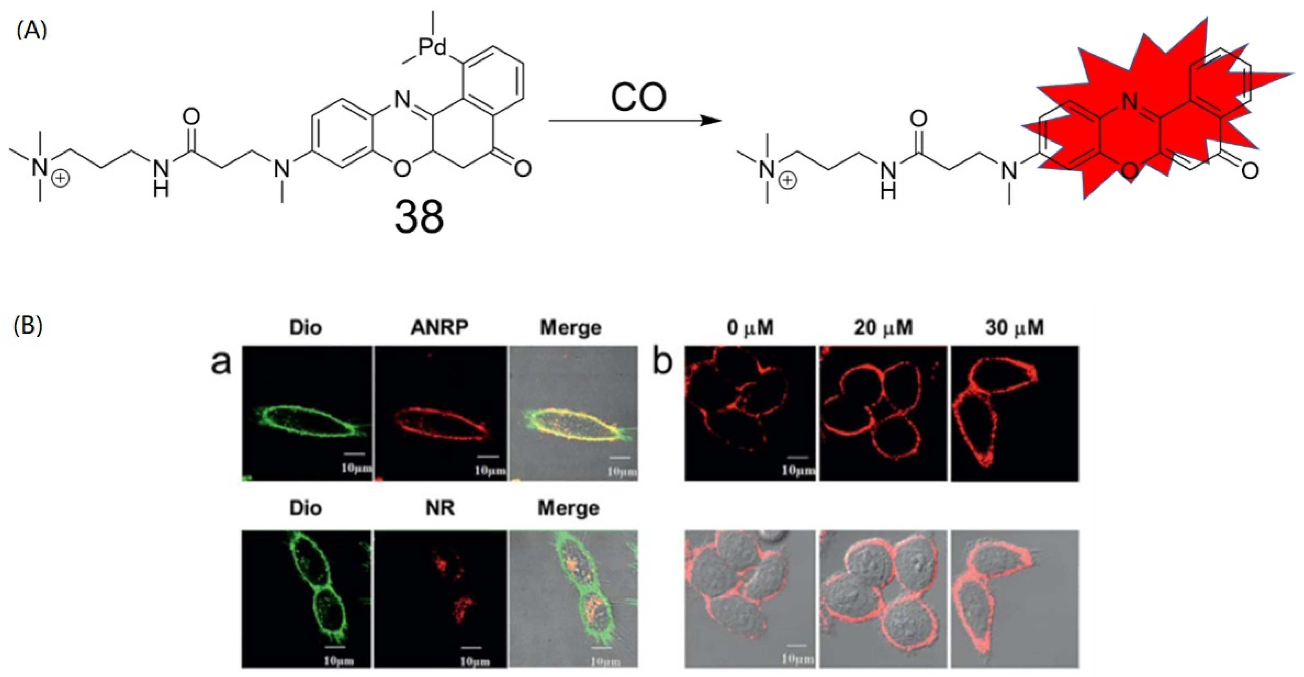 Molecules 27 08842 g015