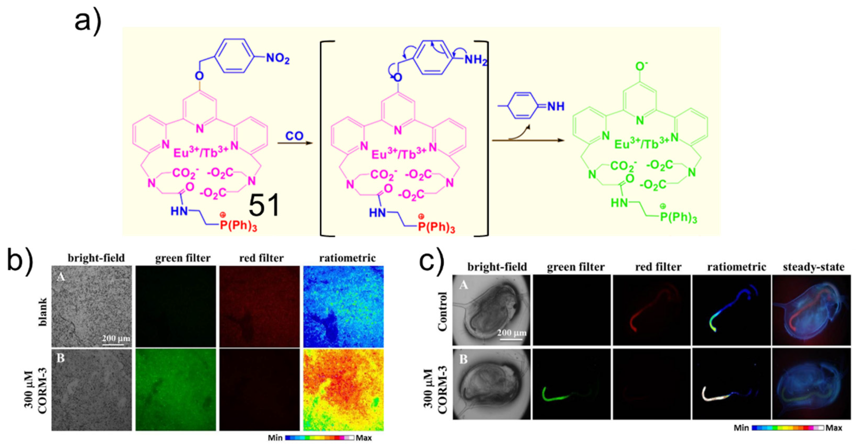 Molecules 27 08842 g018