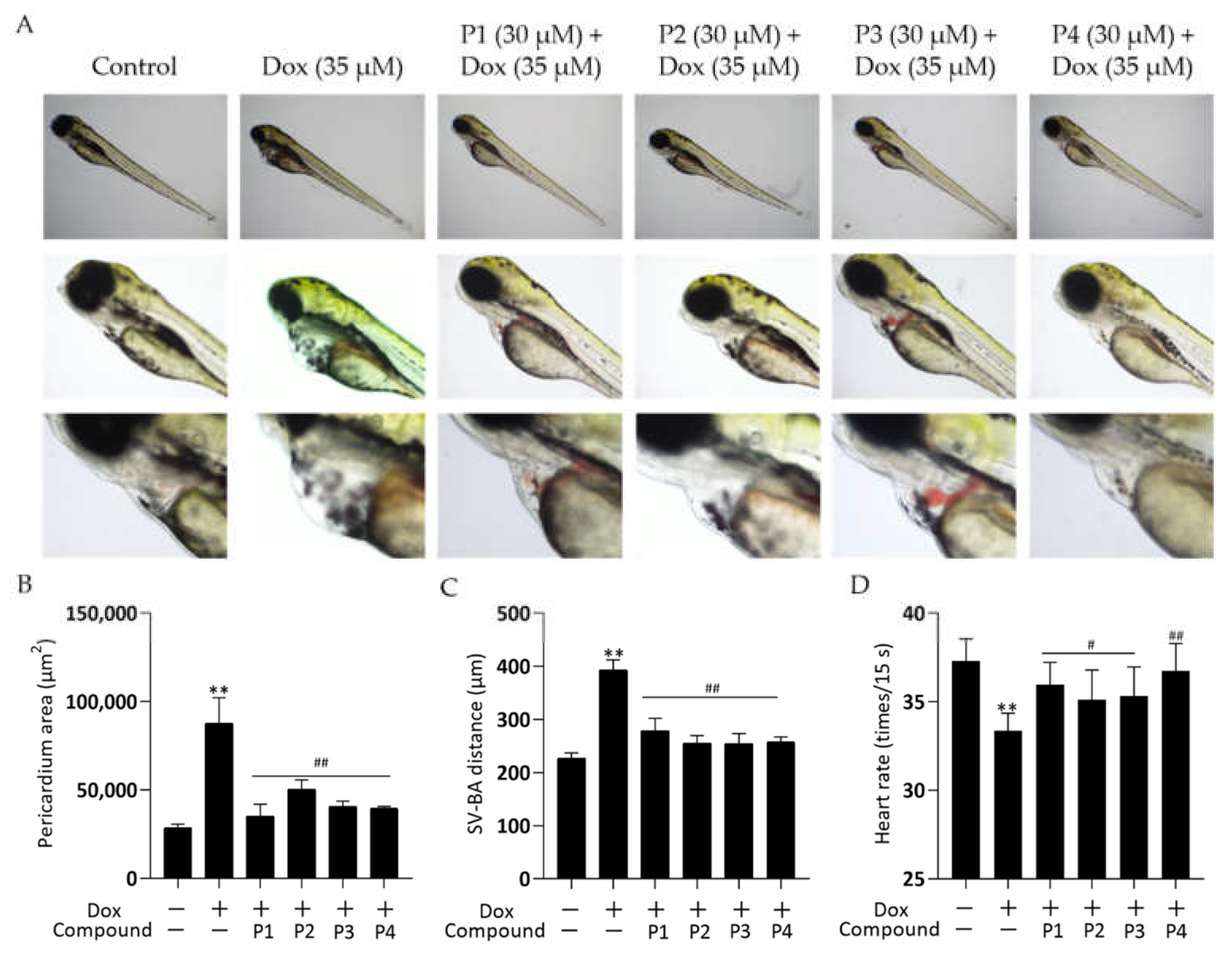 Molecules 27 08858 g002