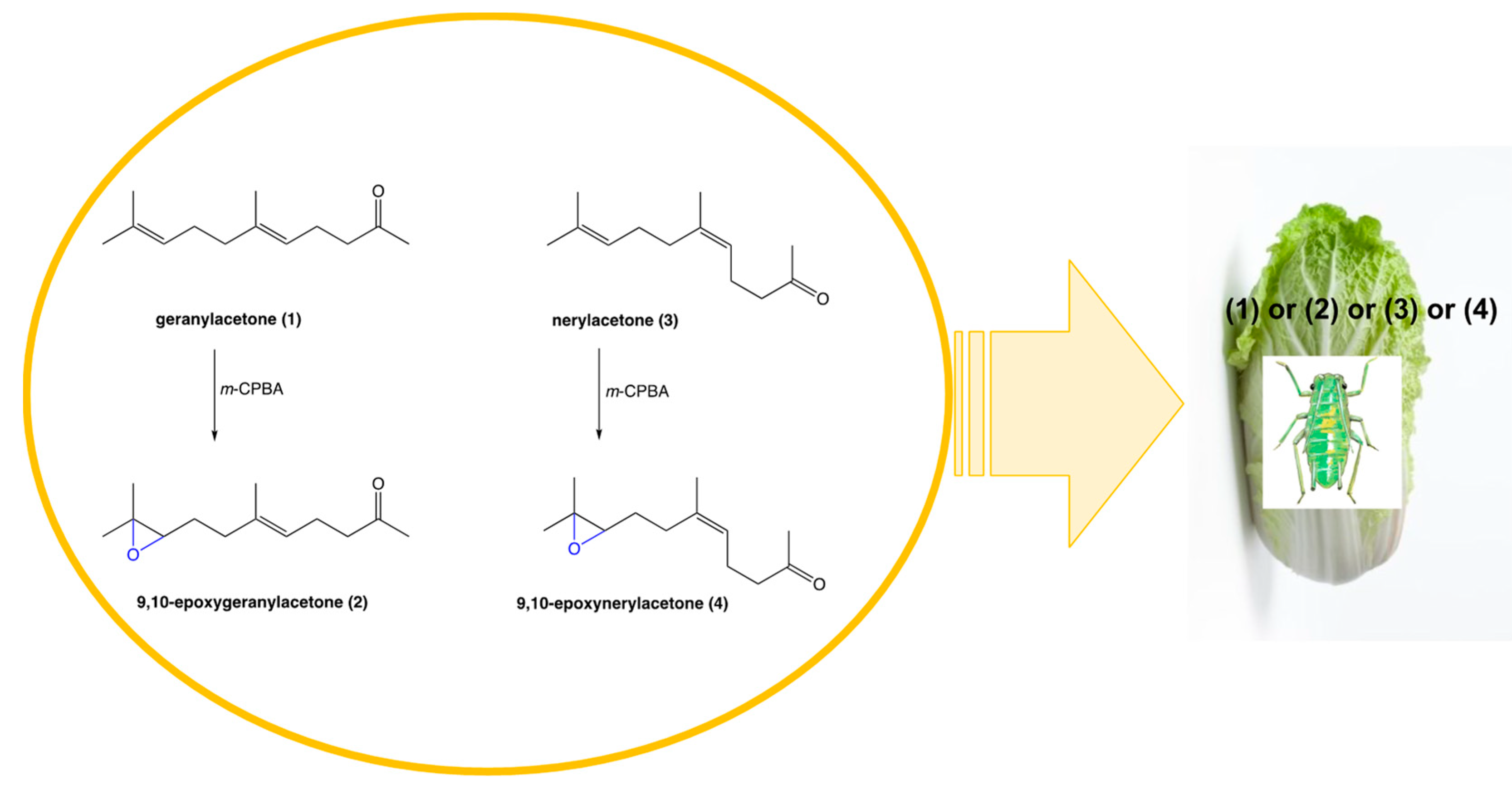 Molecules 27 08871 g001 Molecules 27 08871 g001