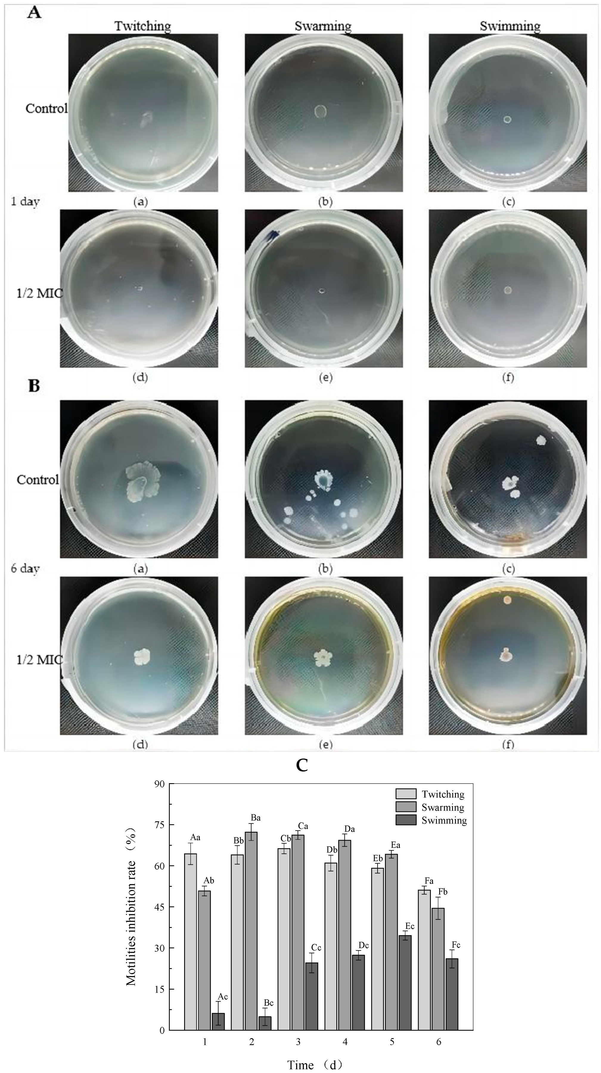 Molecules 27 08878 g003 Molecules 27 08878 g003
