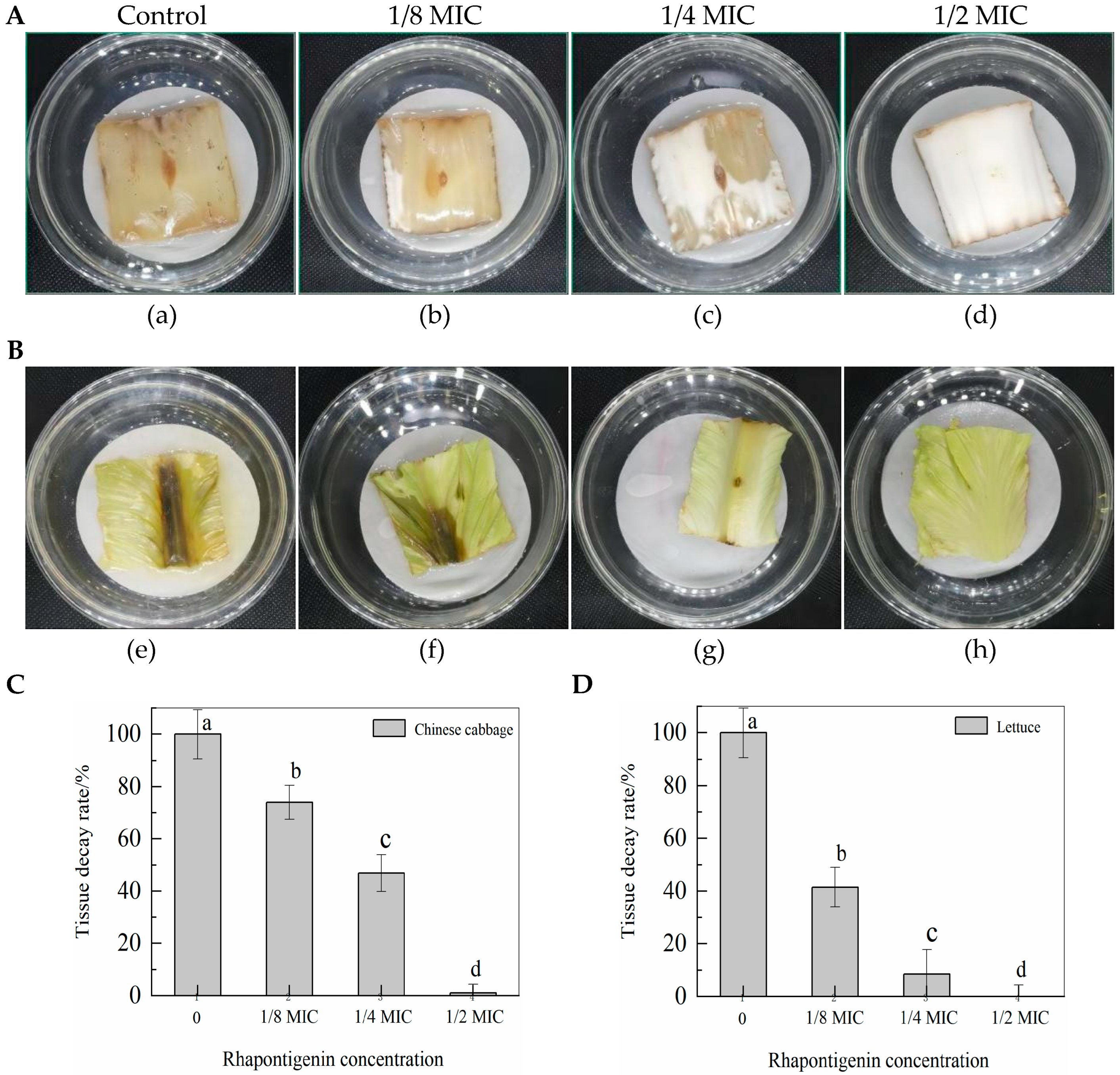 Molecules 27 08878 g007 Molecules 27 08878 g007
