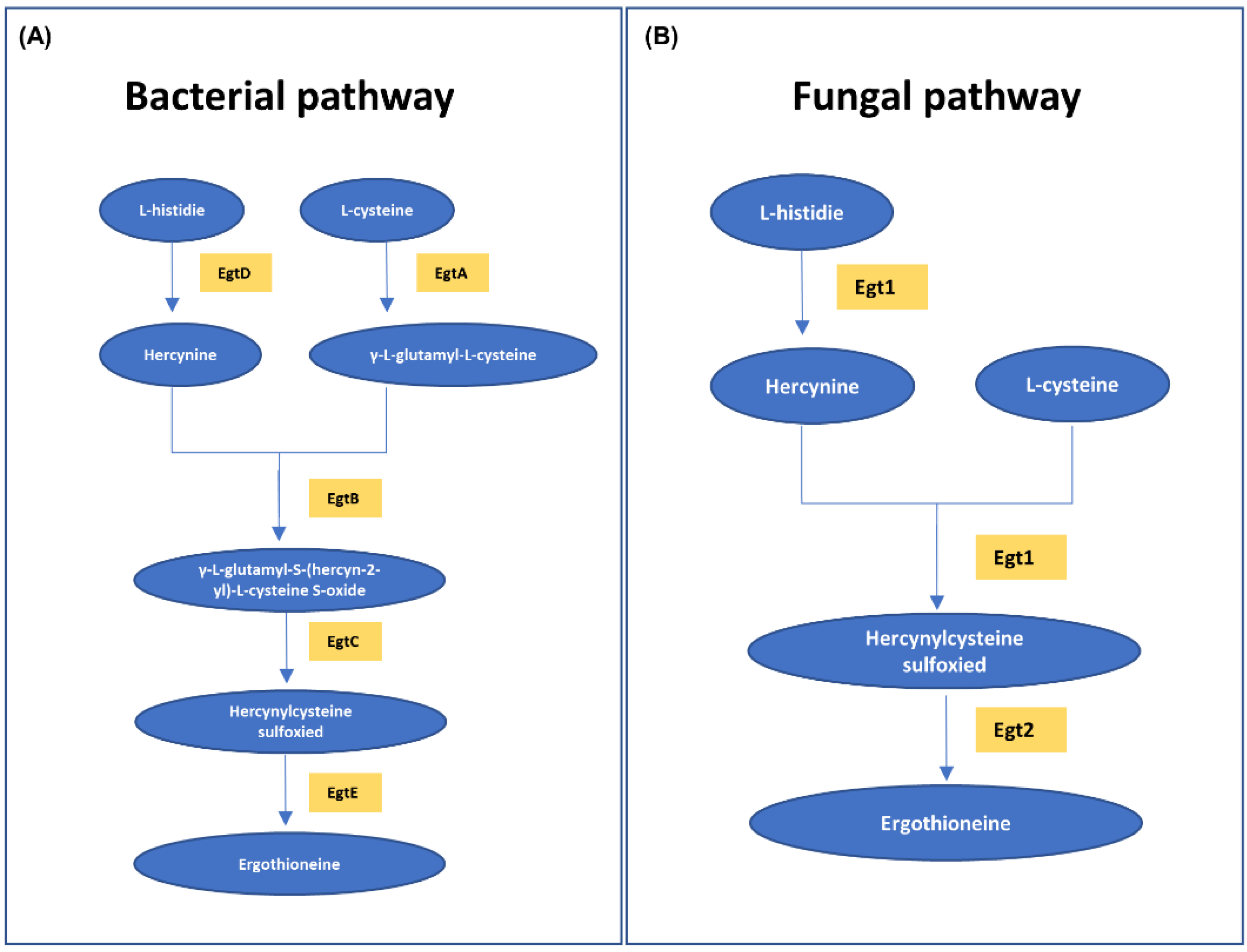 Molecules 27 08885 g005 Molecules 27 08885 g005