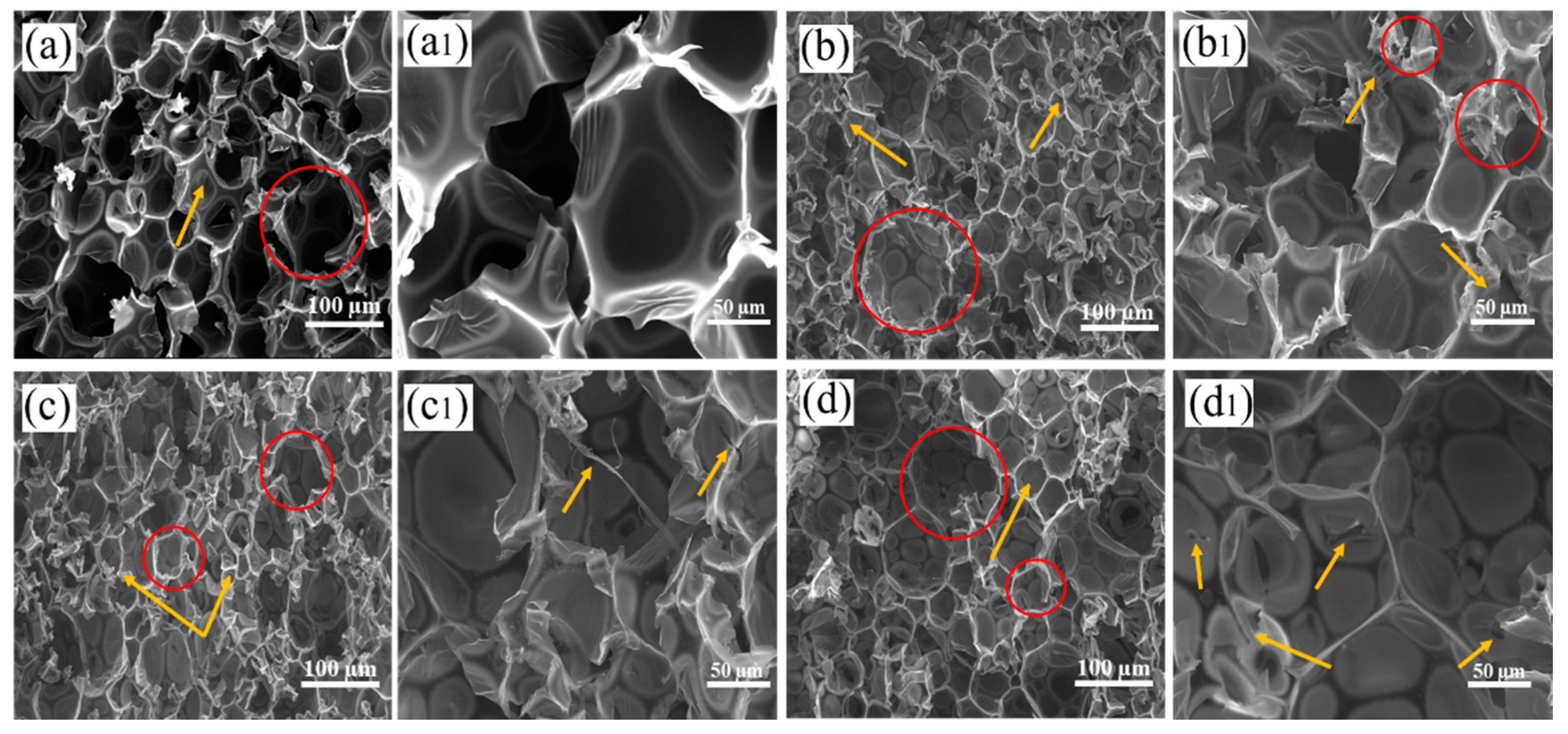 Molecules 27 08892 g001 Molecules 27 08892 g001